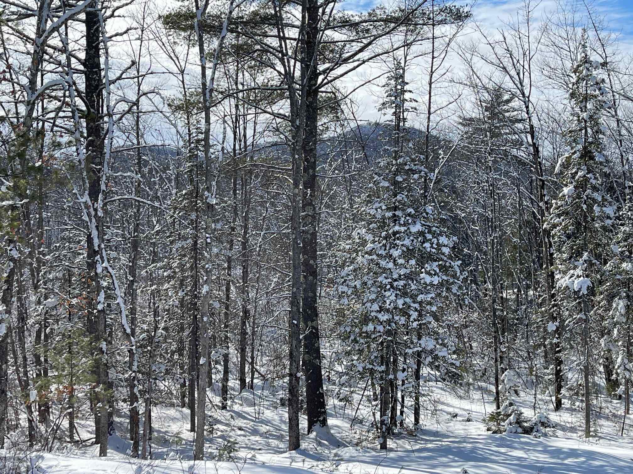 0 Misty Lane0 Lane, Brownfield, ME, 04010