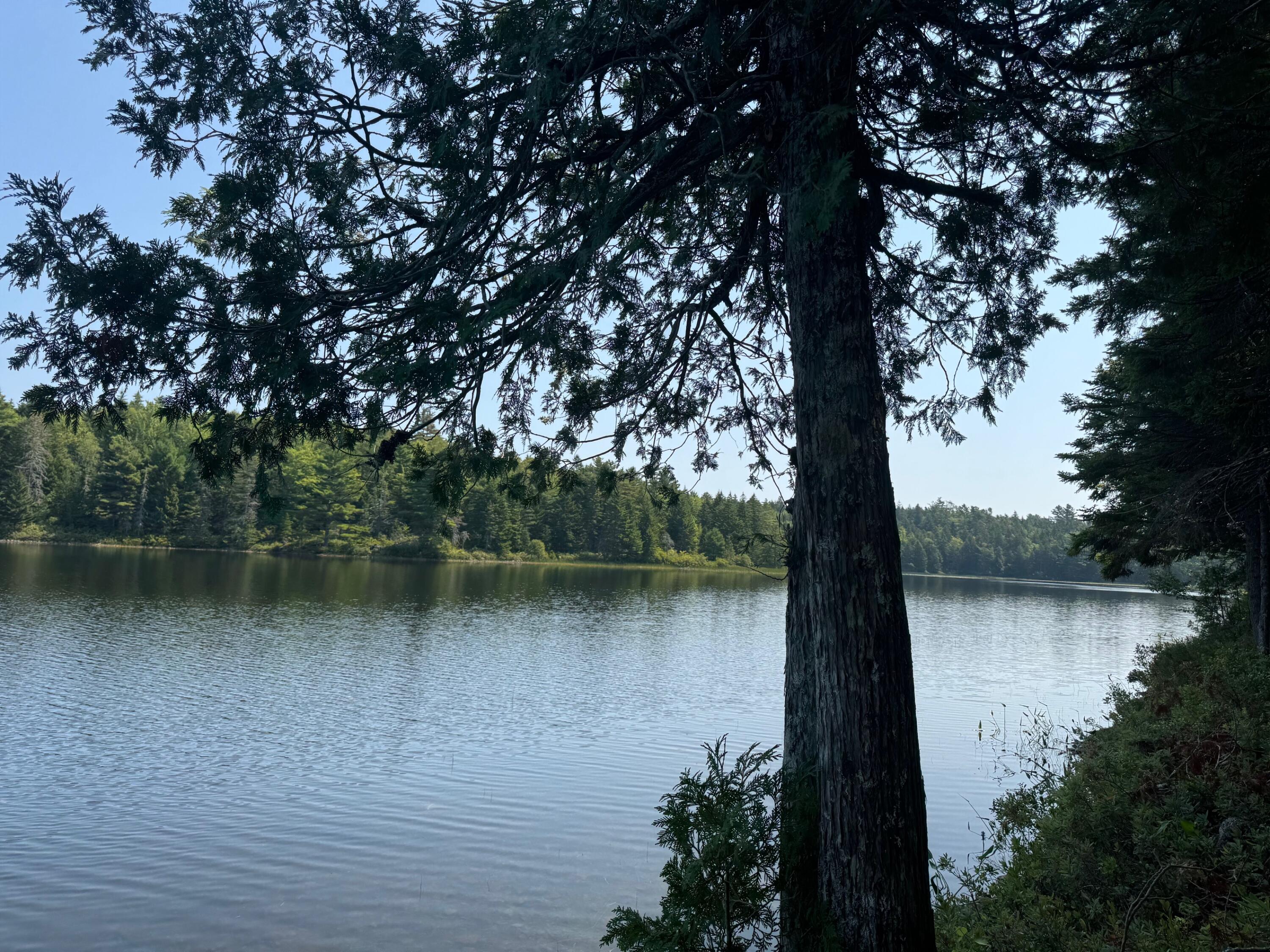 3 Steam Mill Road, Robbinston, ME, 04671