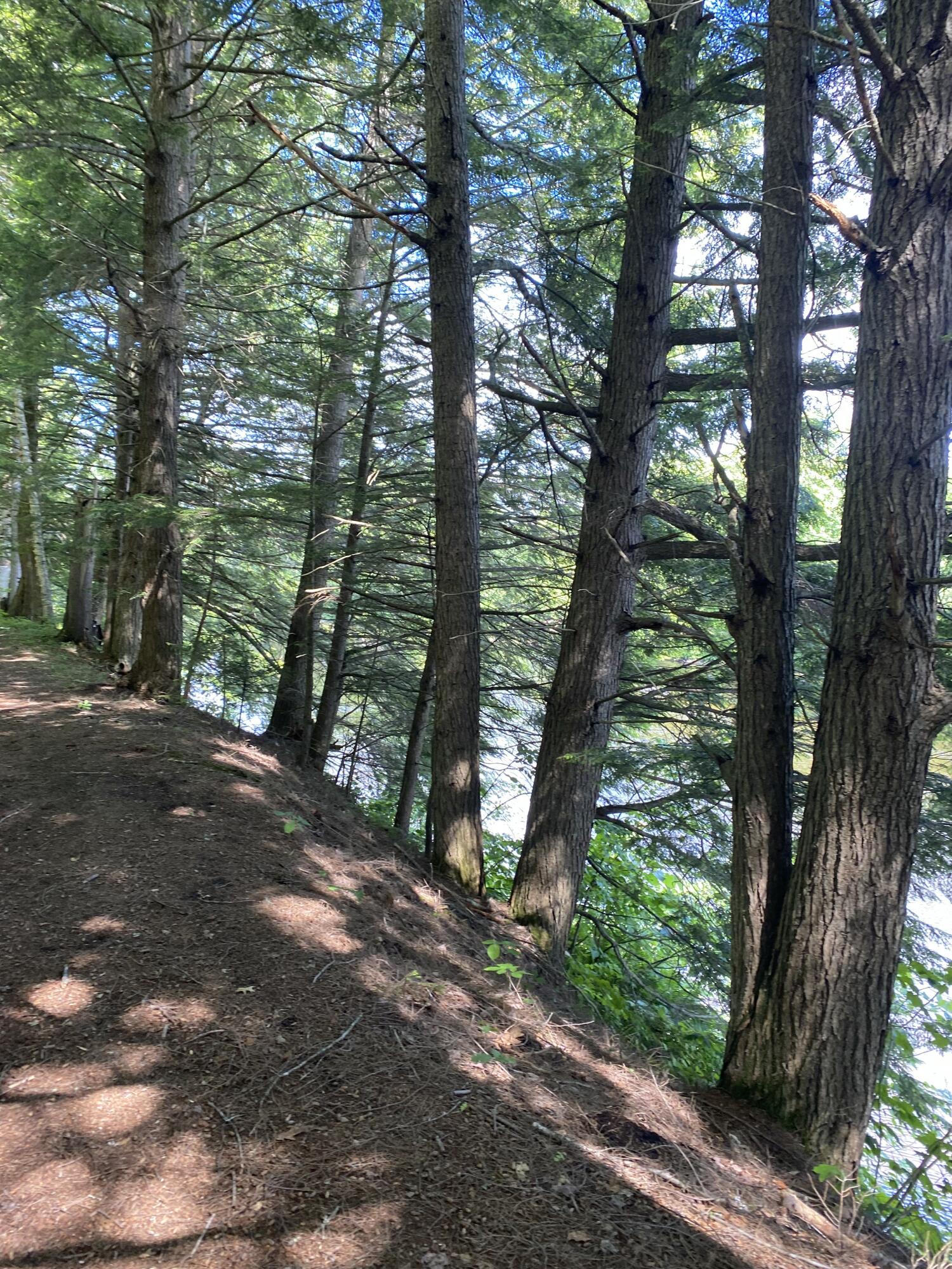 TBD Spruce Drive, Anson, ME, 04911