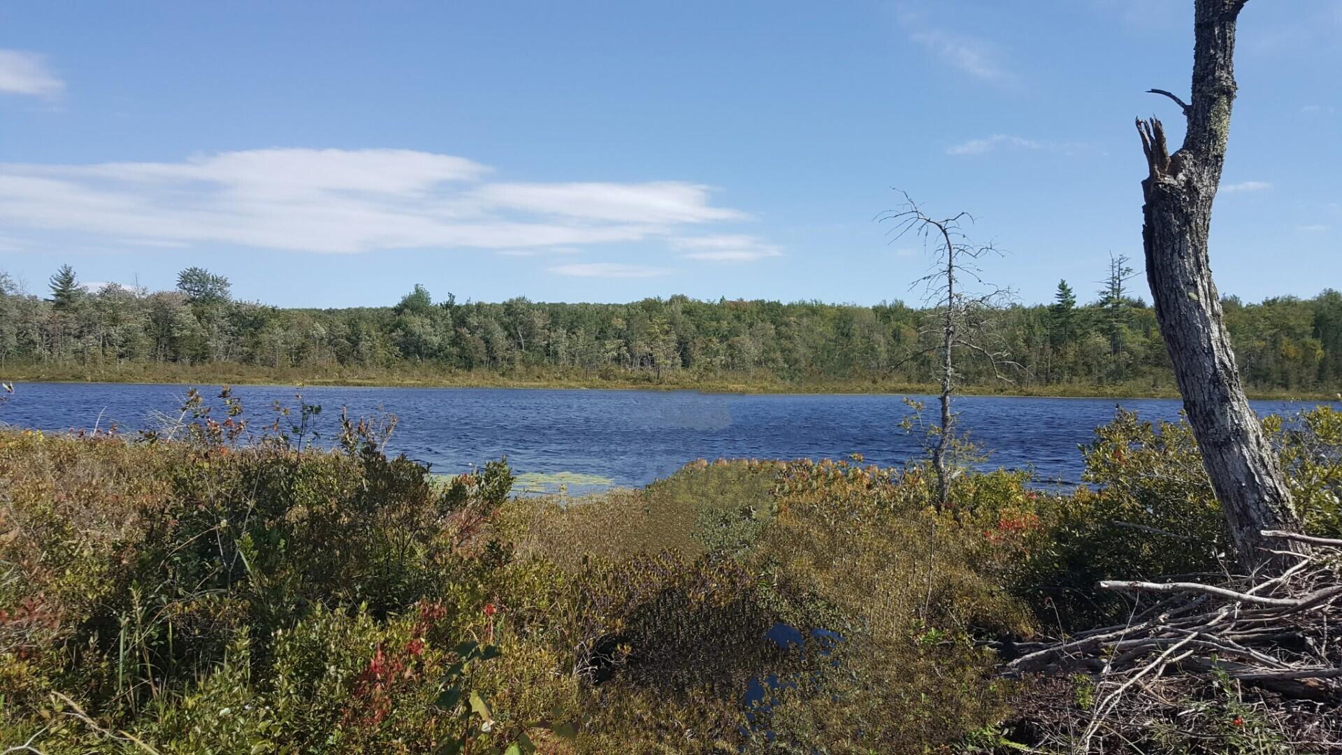 M4 96 & 99 Parker Pond Road, Jay, ME, 04239