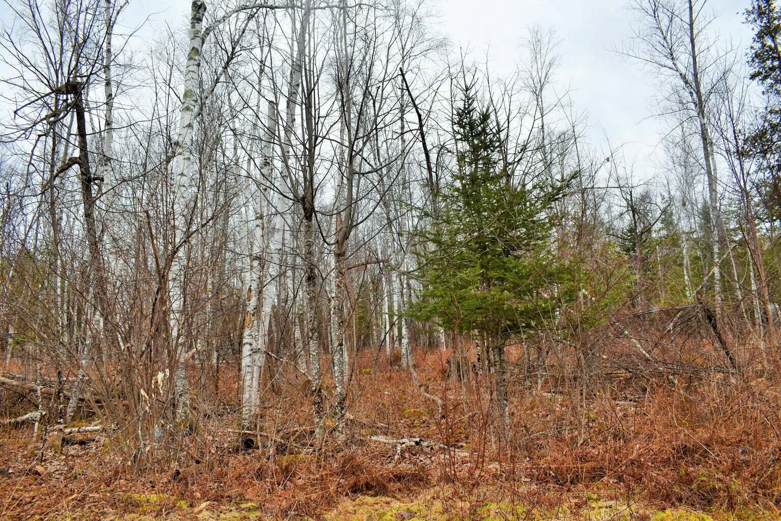 PO72,P090 Cotta Lane & RT 43, Saint Albans, ME, 04971