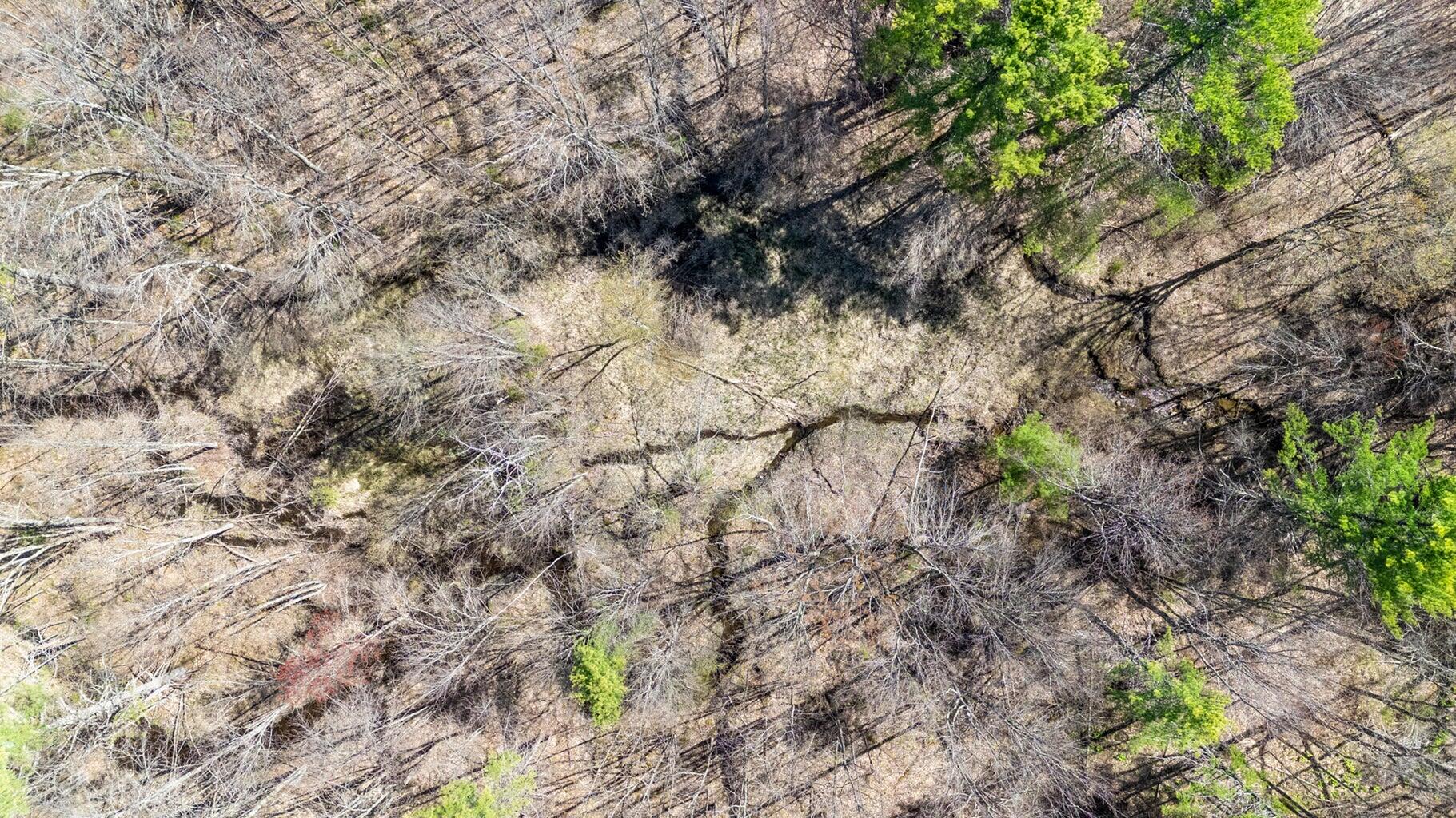 0 Scarlet Way, Lebanon, ME, 04027