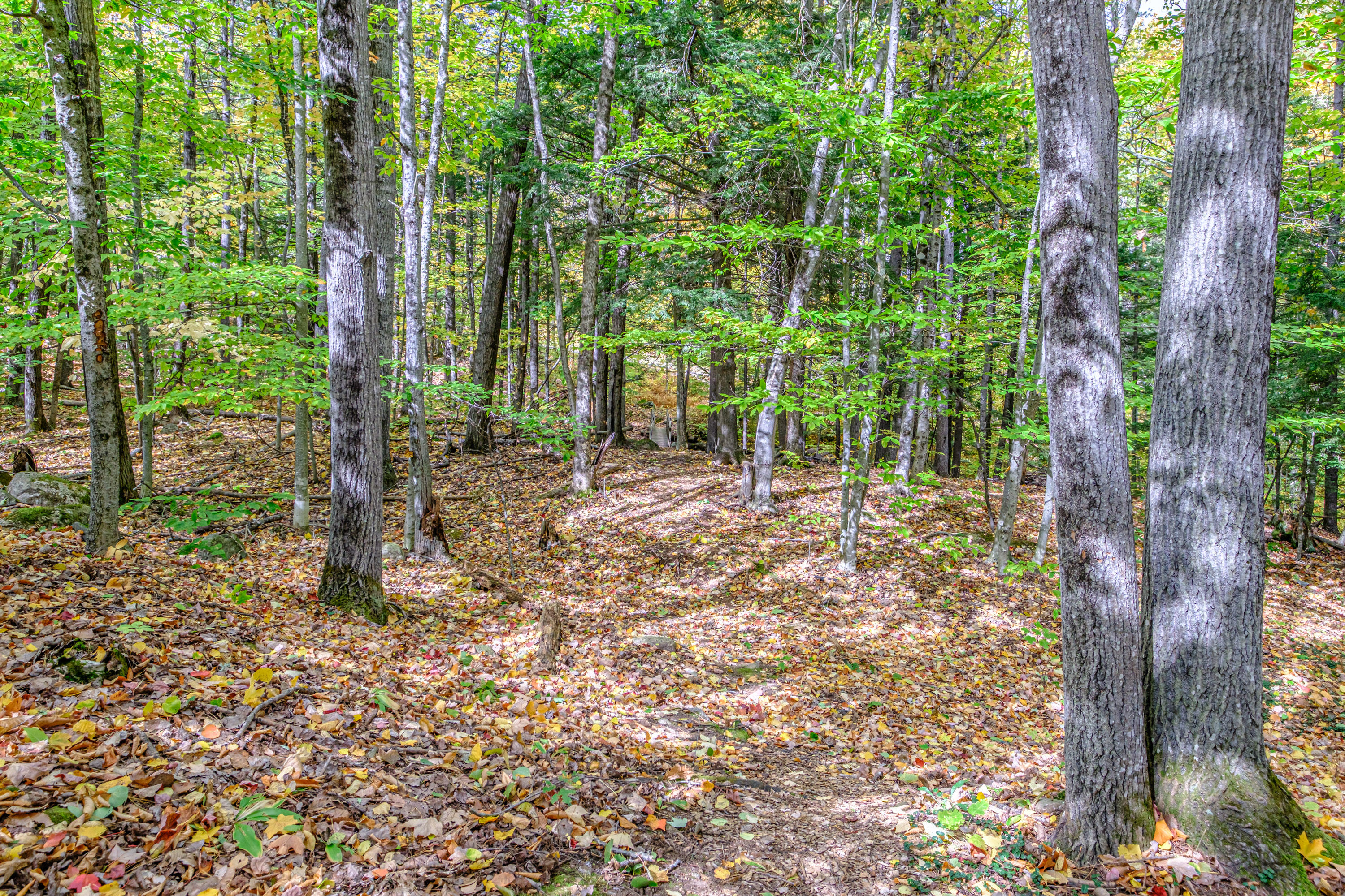 45 Viking Village Road, Newry, ME, 04261-3247