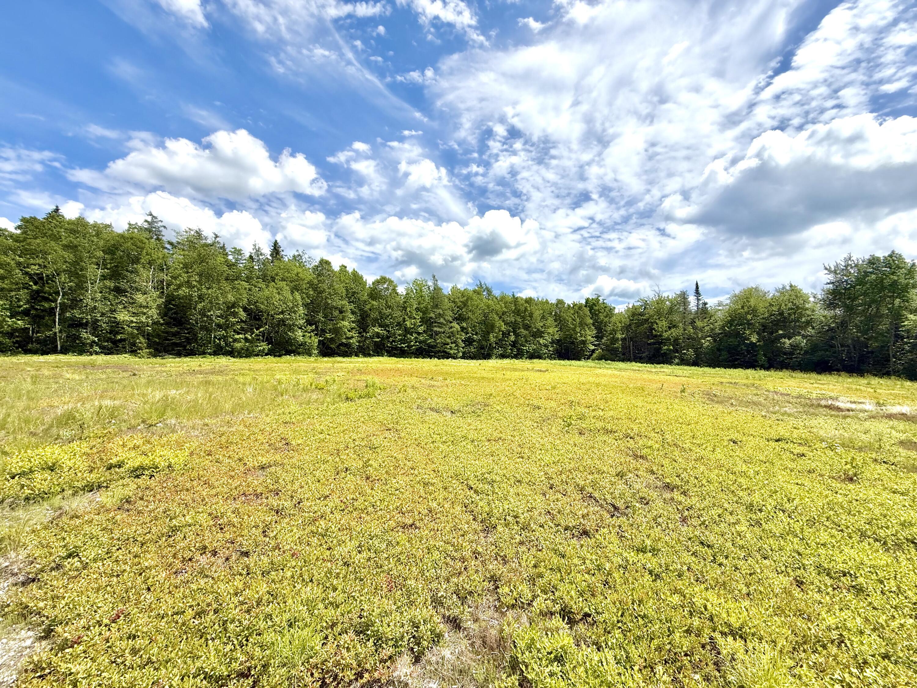 MAP13LOT9 Martins Ridge Road, Franklin, ME, 04634