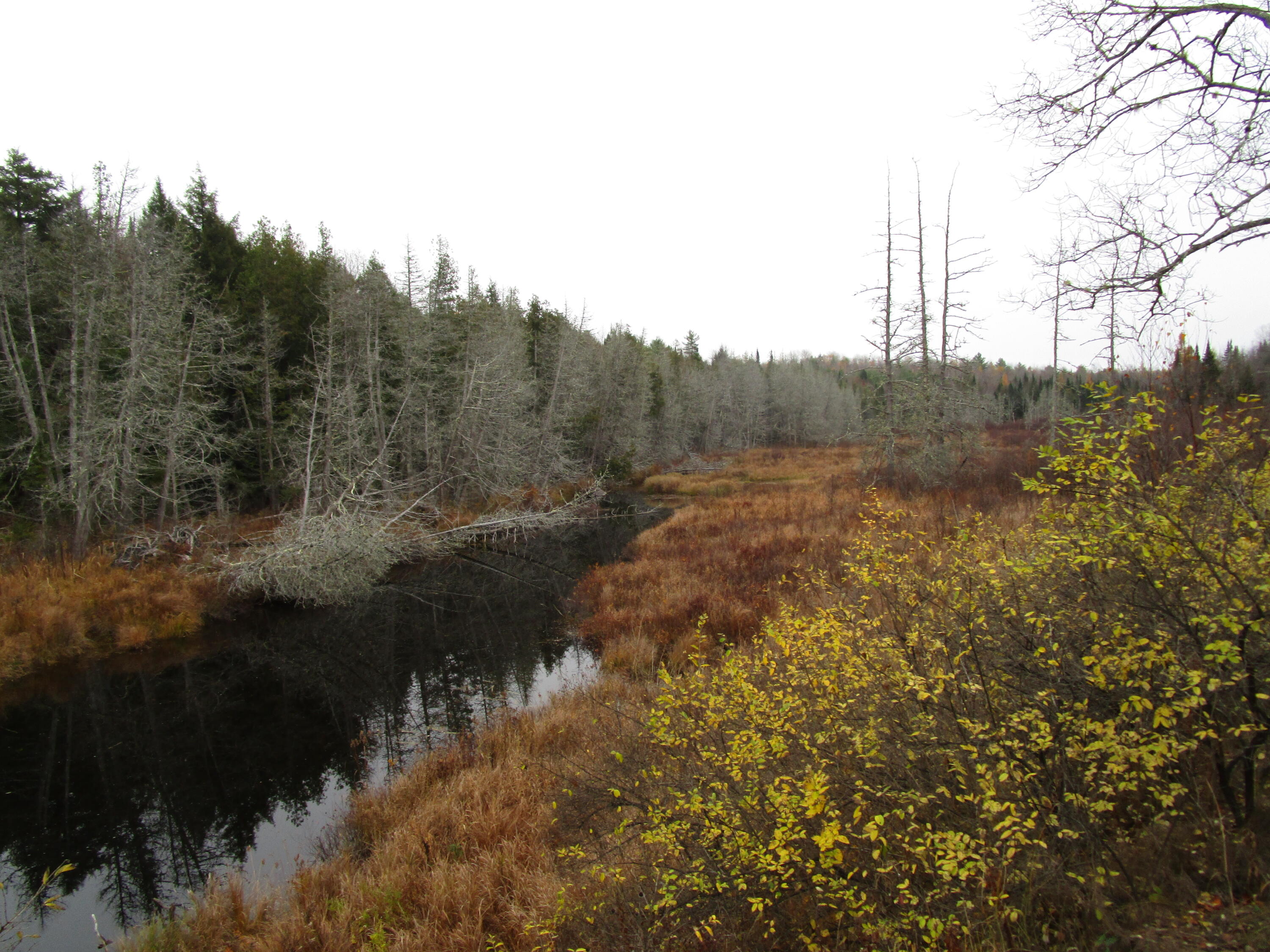 Photo of lot 25 medford center Medford ME 04463
