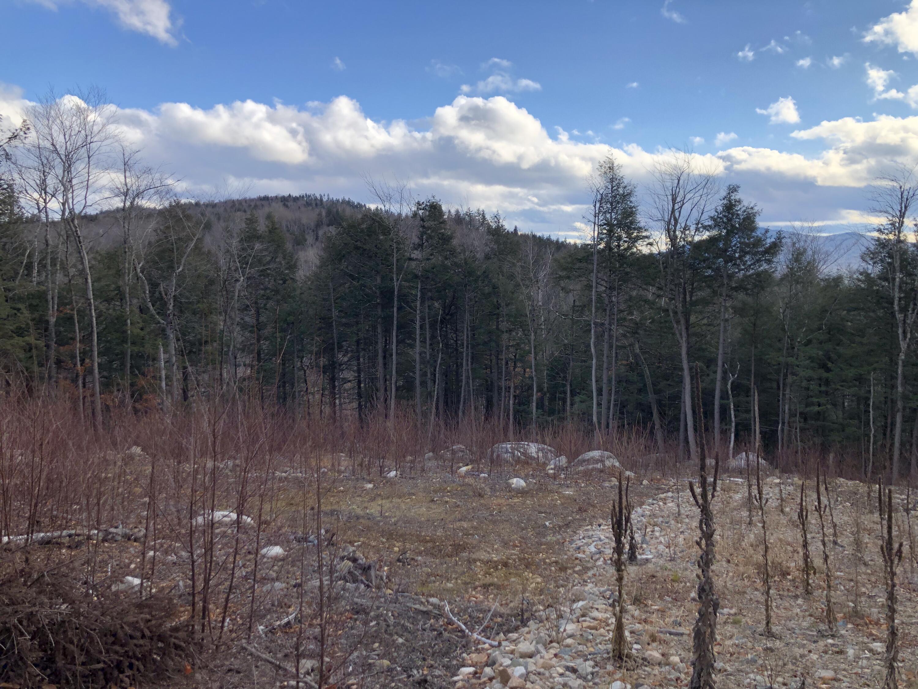 Lot 67 Snowbird Lane, Newry, ME, 04261