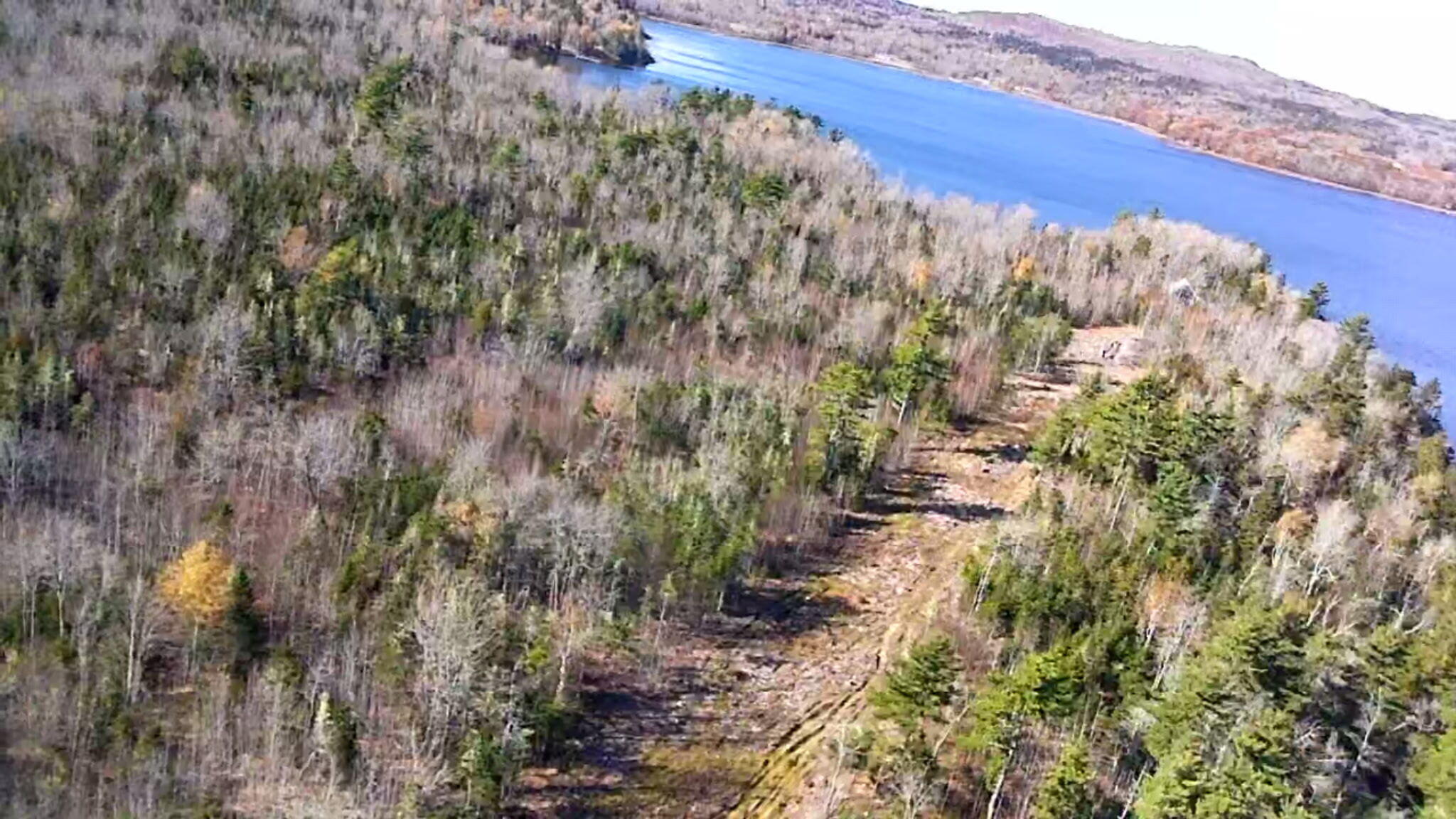 Photo of Lot #2 Runamuck  Road Perry ME 04667