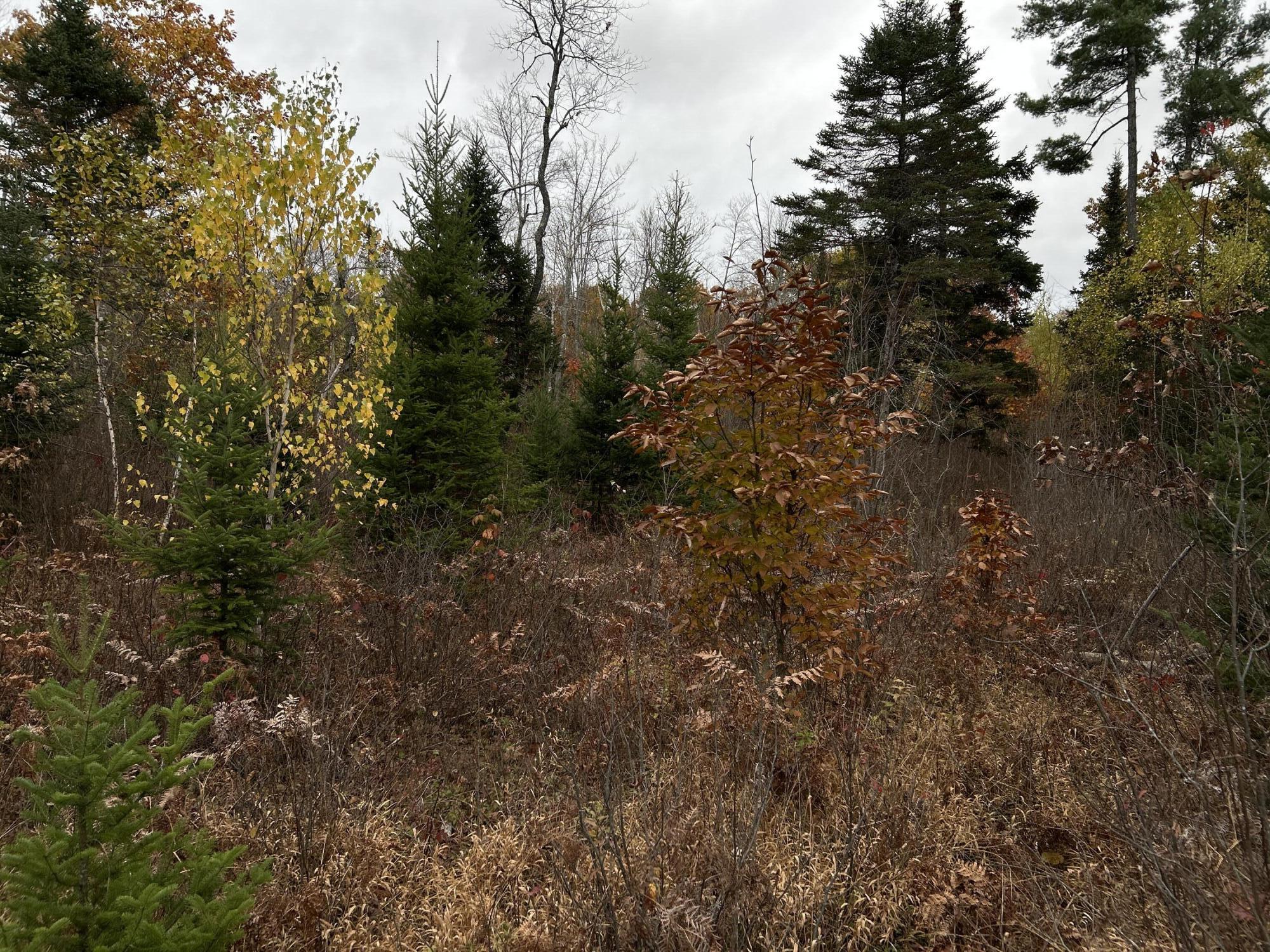 M4L18 Bog Road, Jackson, ME, 04921