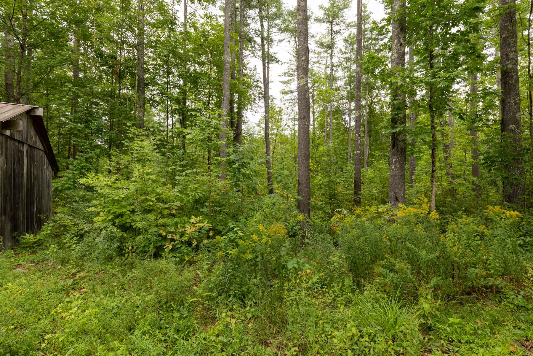 Lot UNIT&nbsp;5 Adams Bridge Road, North Berwick, ME, 03906