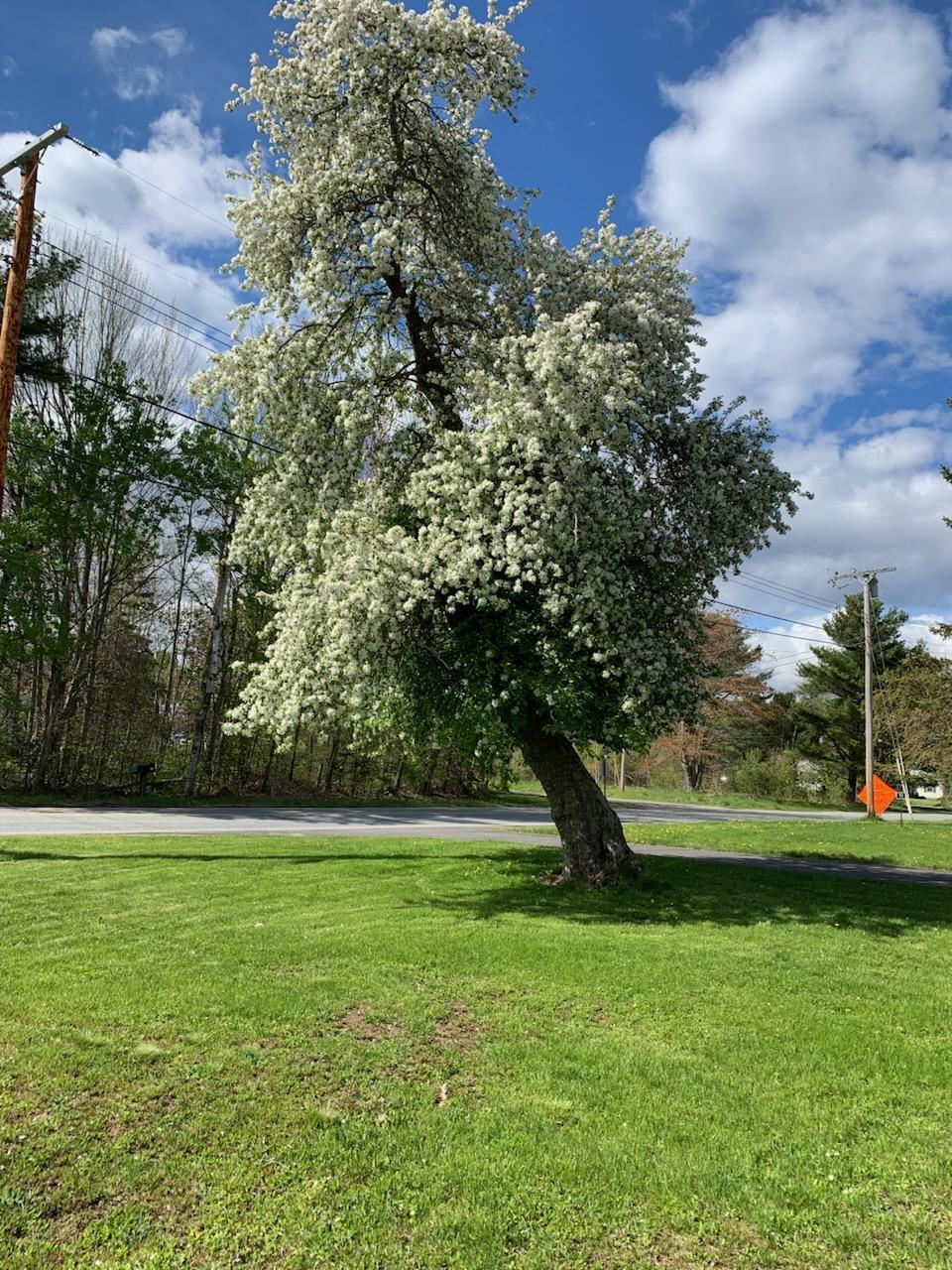 91 Pierce Road, Brewer, ME, 04412