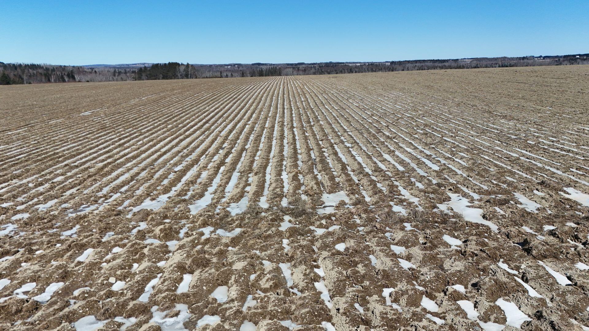 0 Washburn Road UNIT Lot 5, Caribou, ME, 04736