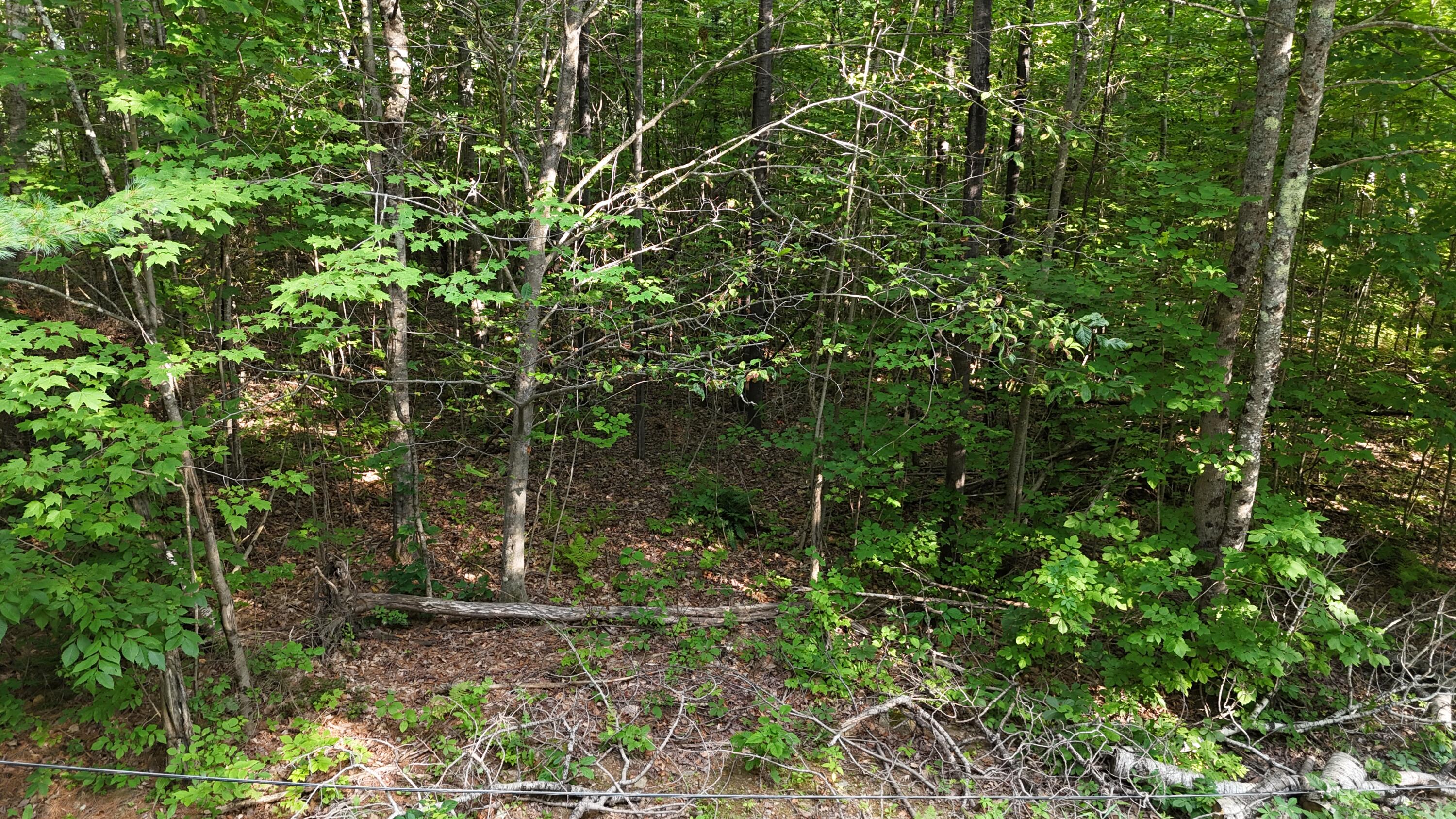 Lot 3-12 Shady Lane, Newport, ME, 04953