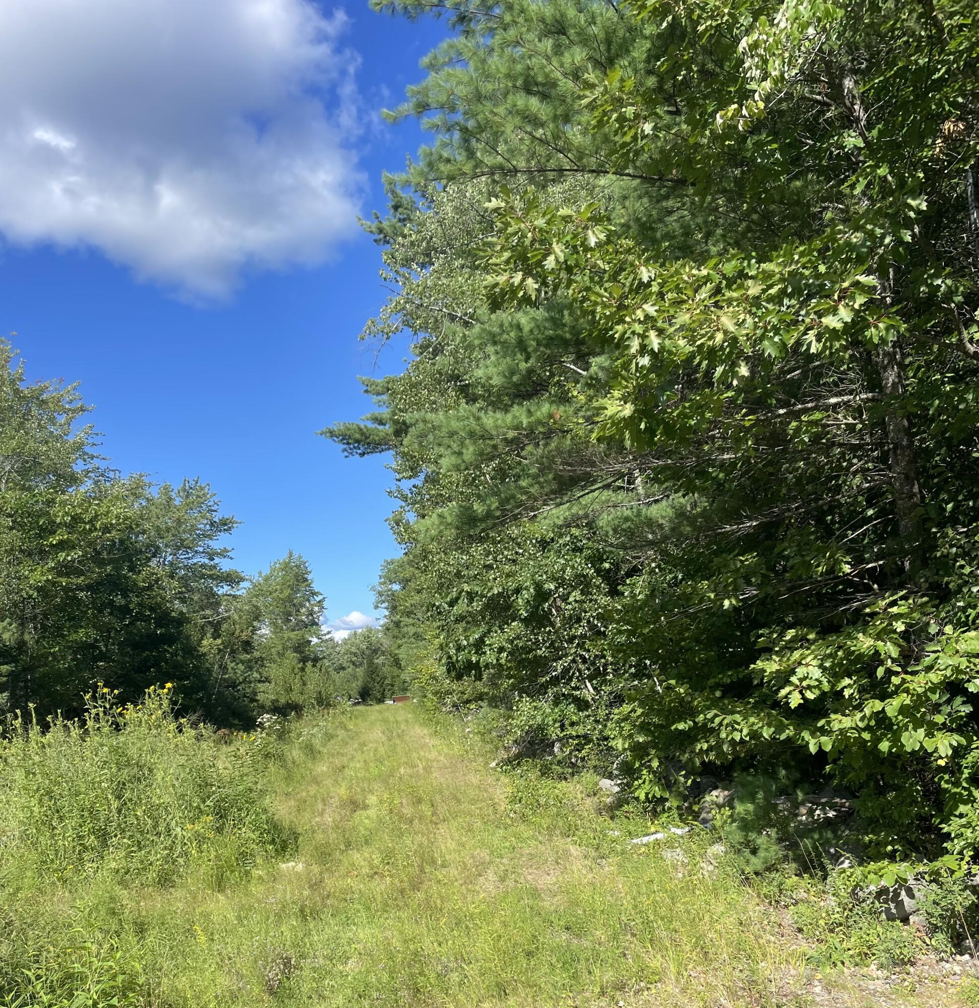 Lot 3 Gallant Avenue