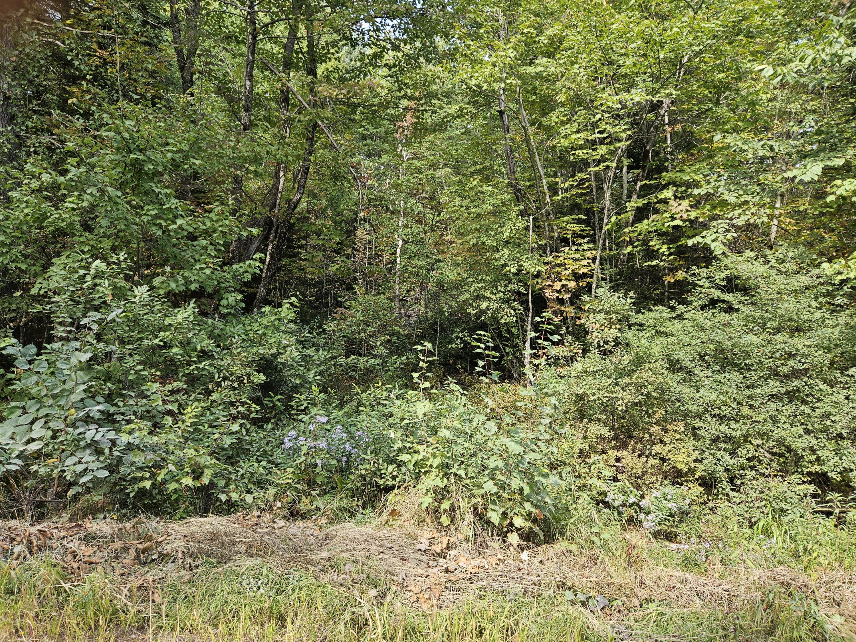 Photo of Lot 11.2 Mccorrison Road Orneville Twp ME 04463