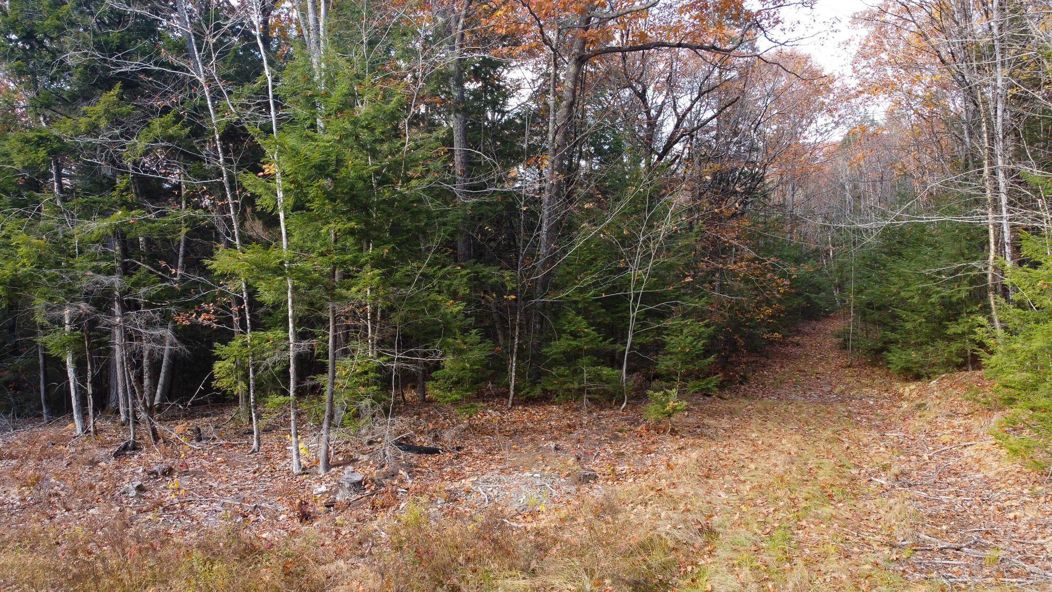 Lot 2 Darci Lane, Montville, ME, 04941