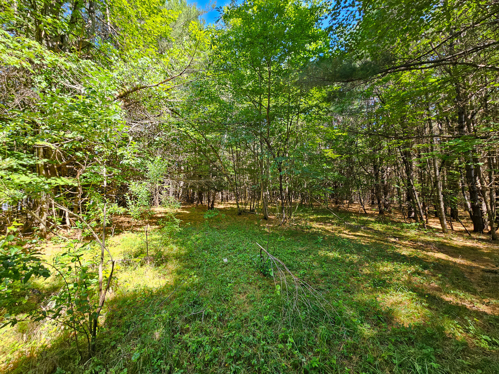 11-31-C Stone Hill Road, Farmington, ME, 04938