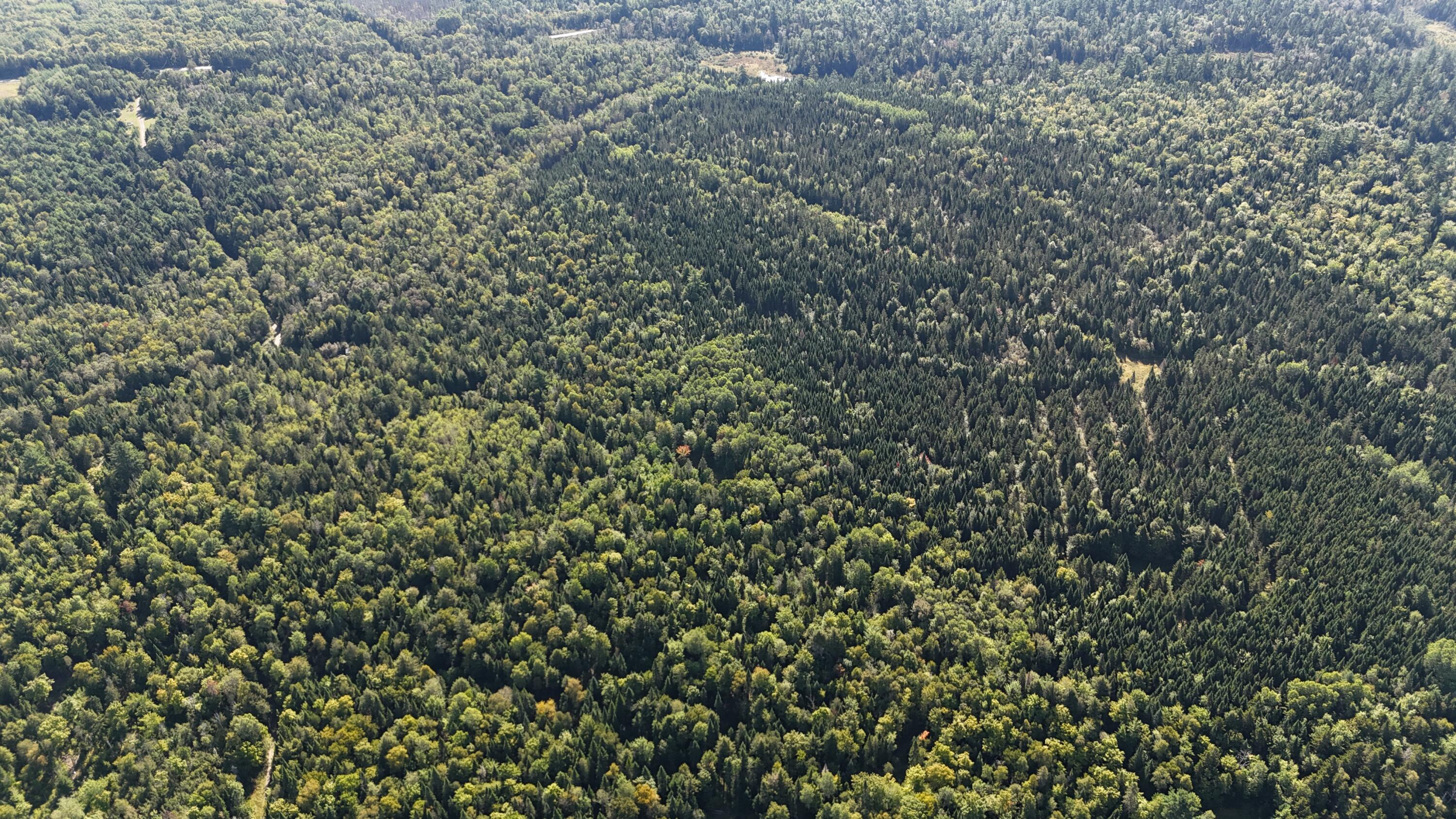 9 Jerry's Road, Masardis, ME, 04732