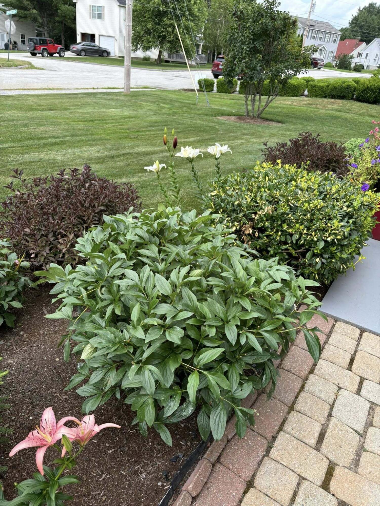 30 Bowdoin Drive, Brewer, ME, 04412