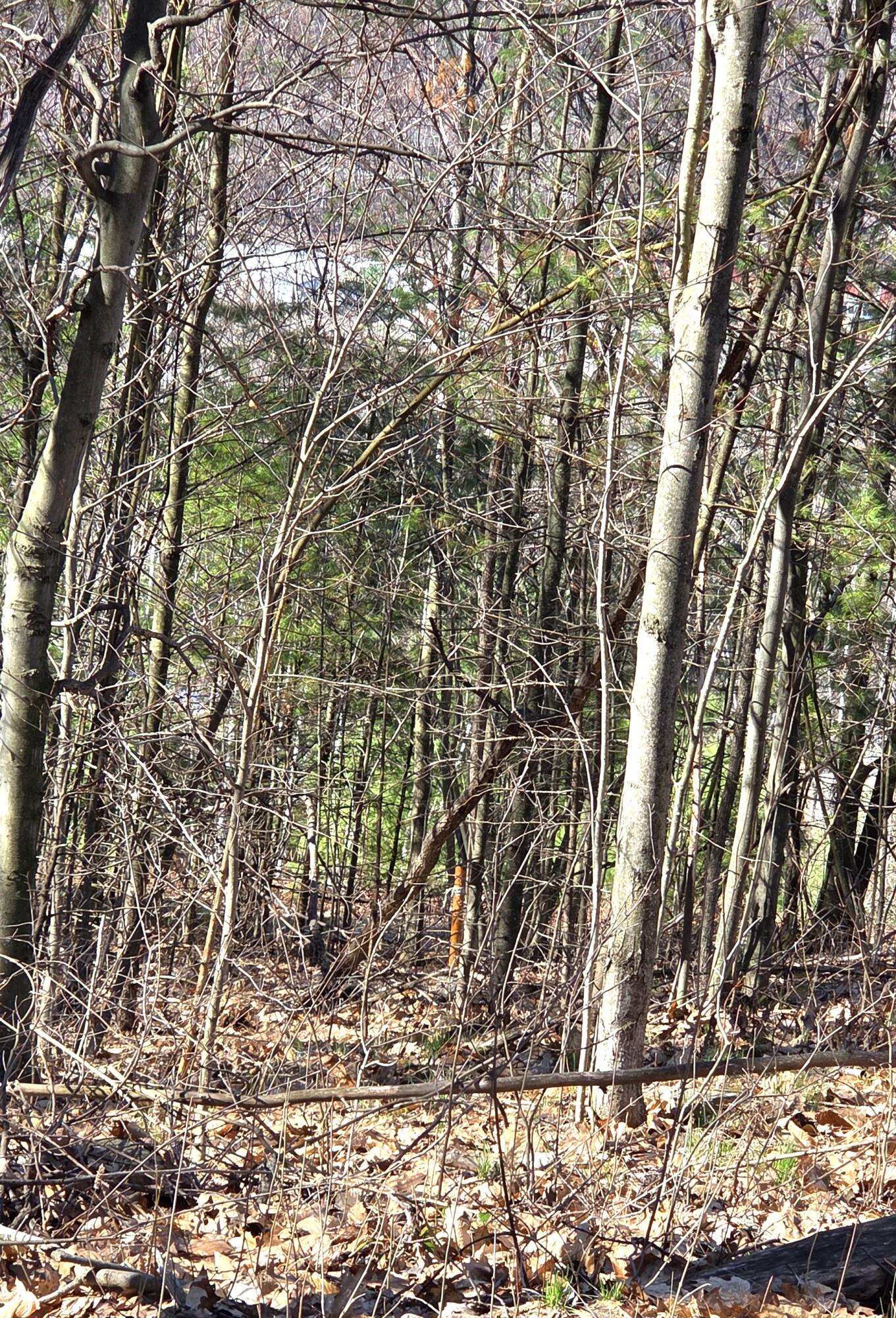 46 Fourth Street, Mexico, ME, 04257