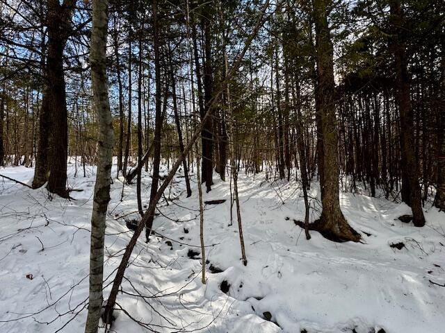 M9 L29  N Beckwith Road, Cornville, ME, 04976