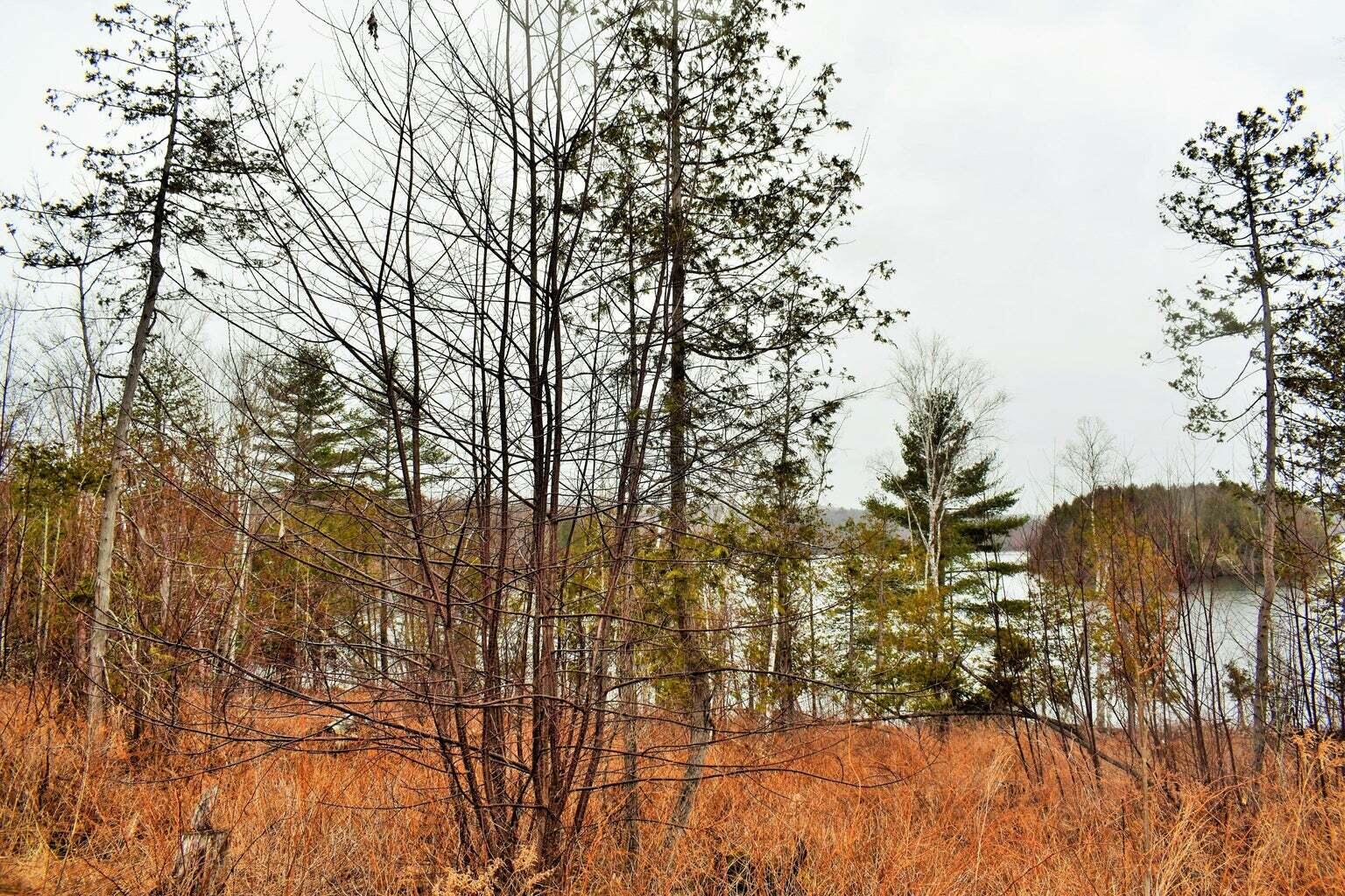 PO72,P090 Cotta Lane & RT 43, Saint Albans, ME, 04971