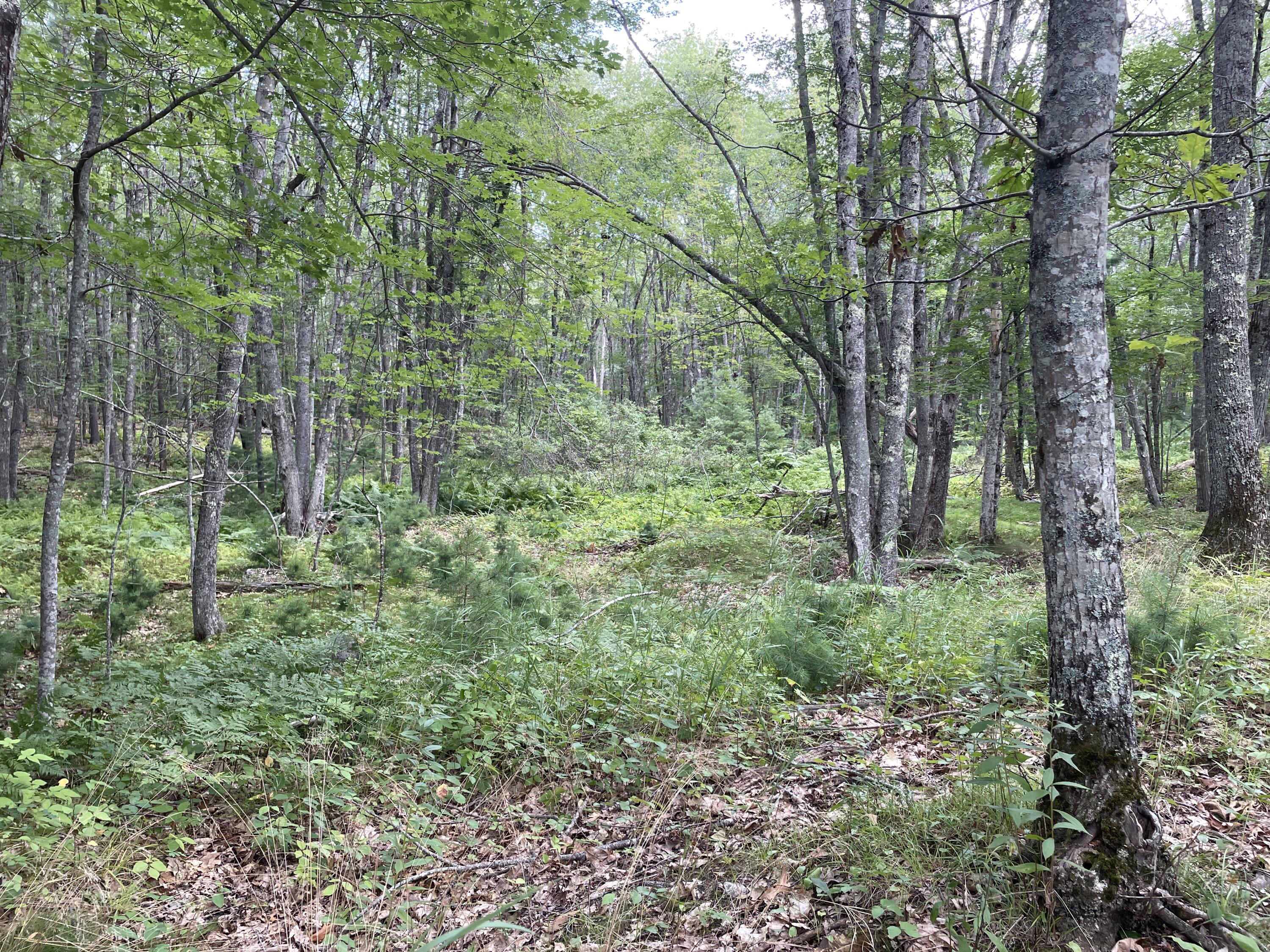 Sagadahoc County Sagadahoc County