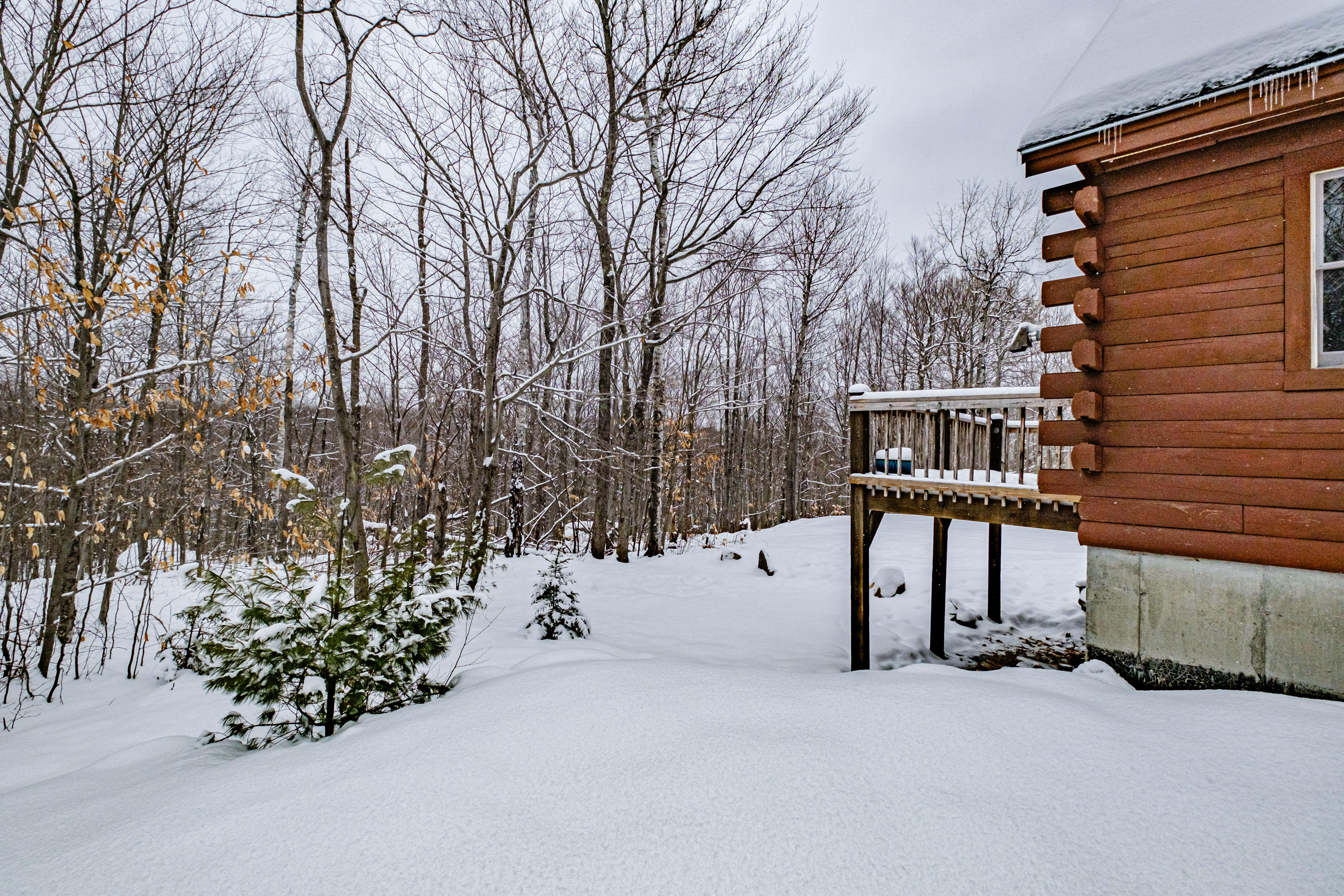 50 Log Cabin Lane, Greenwood, ME, 04255
