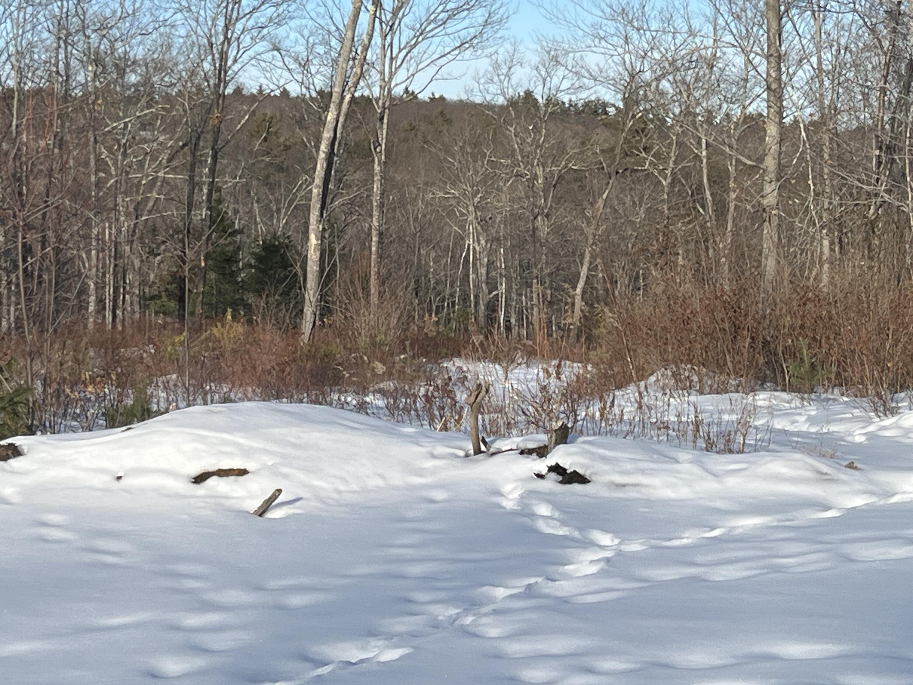 Lot A8 West Road, Waterboro, ME, 04087