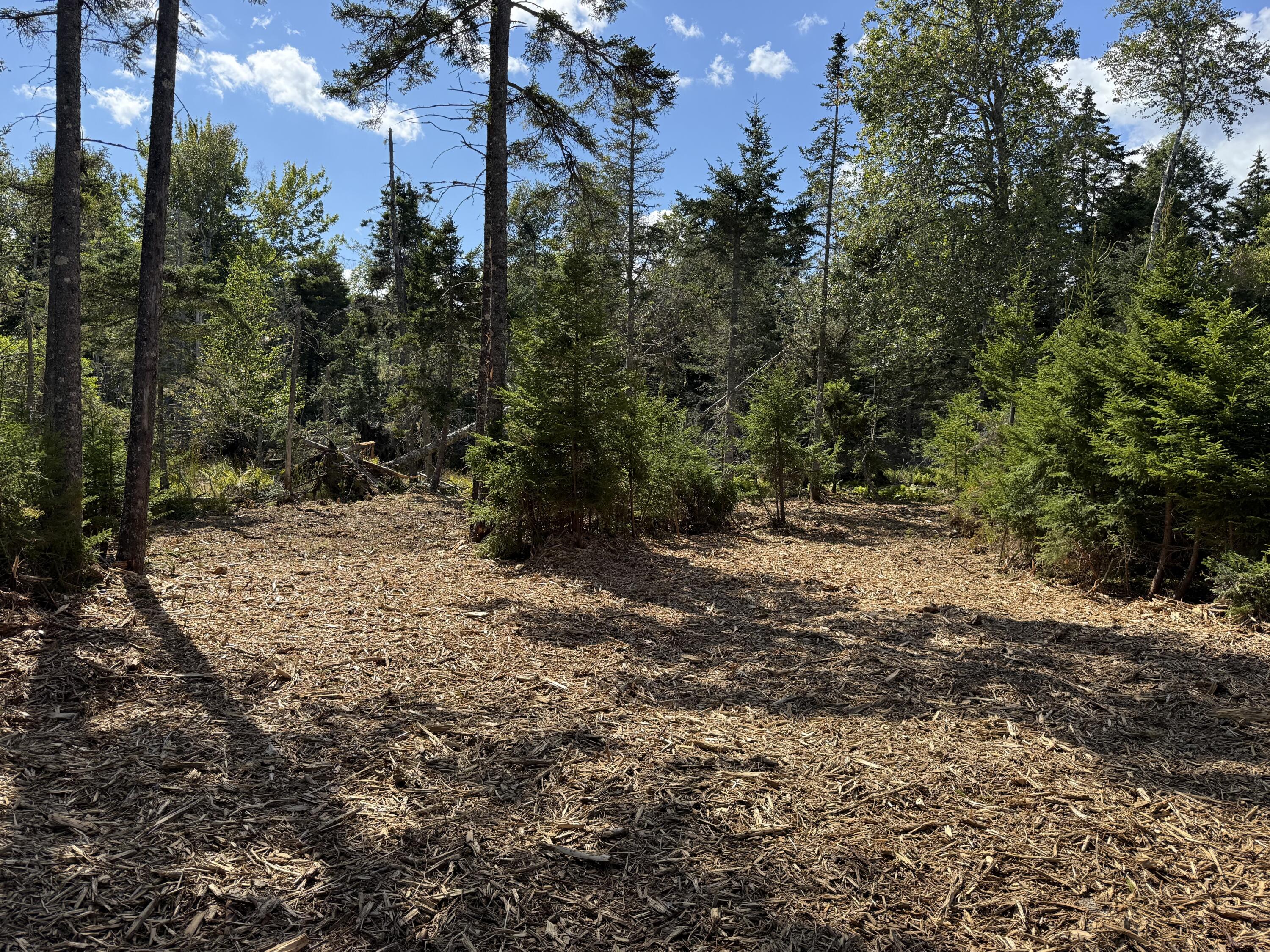 1552 Turtle Head Road, Islesboro, ME, 04848