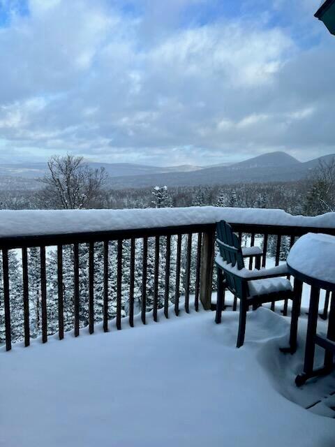 19-3 South Branch Way UNIT 36, Sandy River Plt, ME, 04970