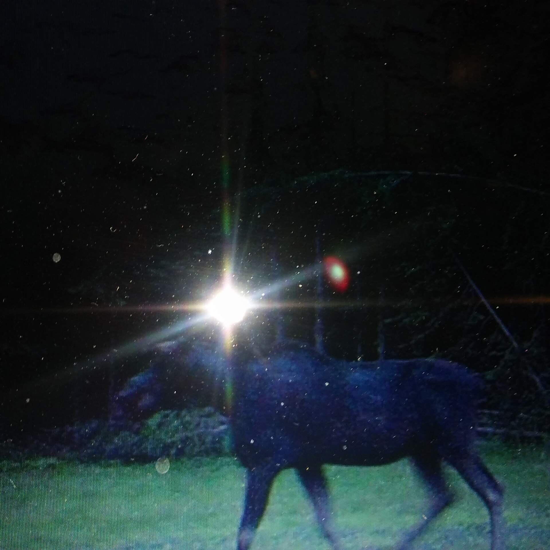 95 Morneault Road, Grand Isle, ME, 04746