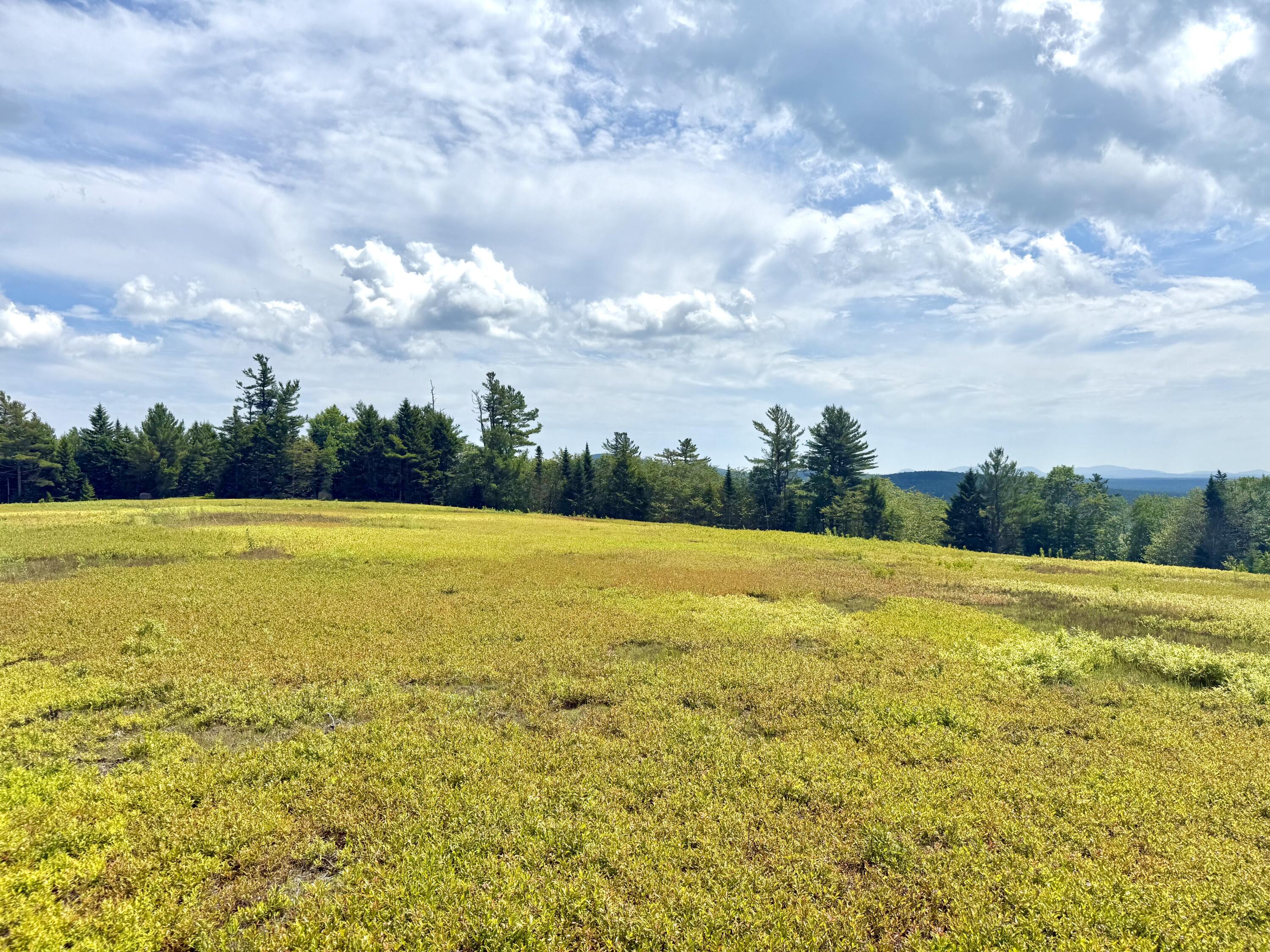 MAP13LOT11 Martins Ridge Road, Franklin, ME, 04634
