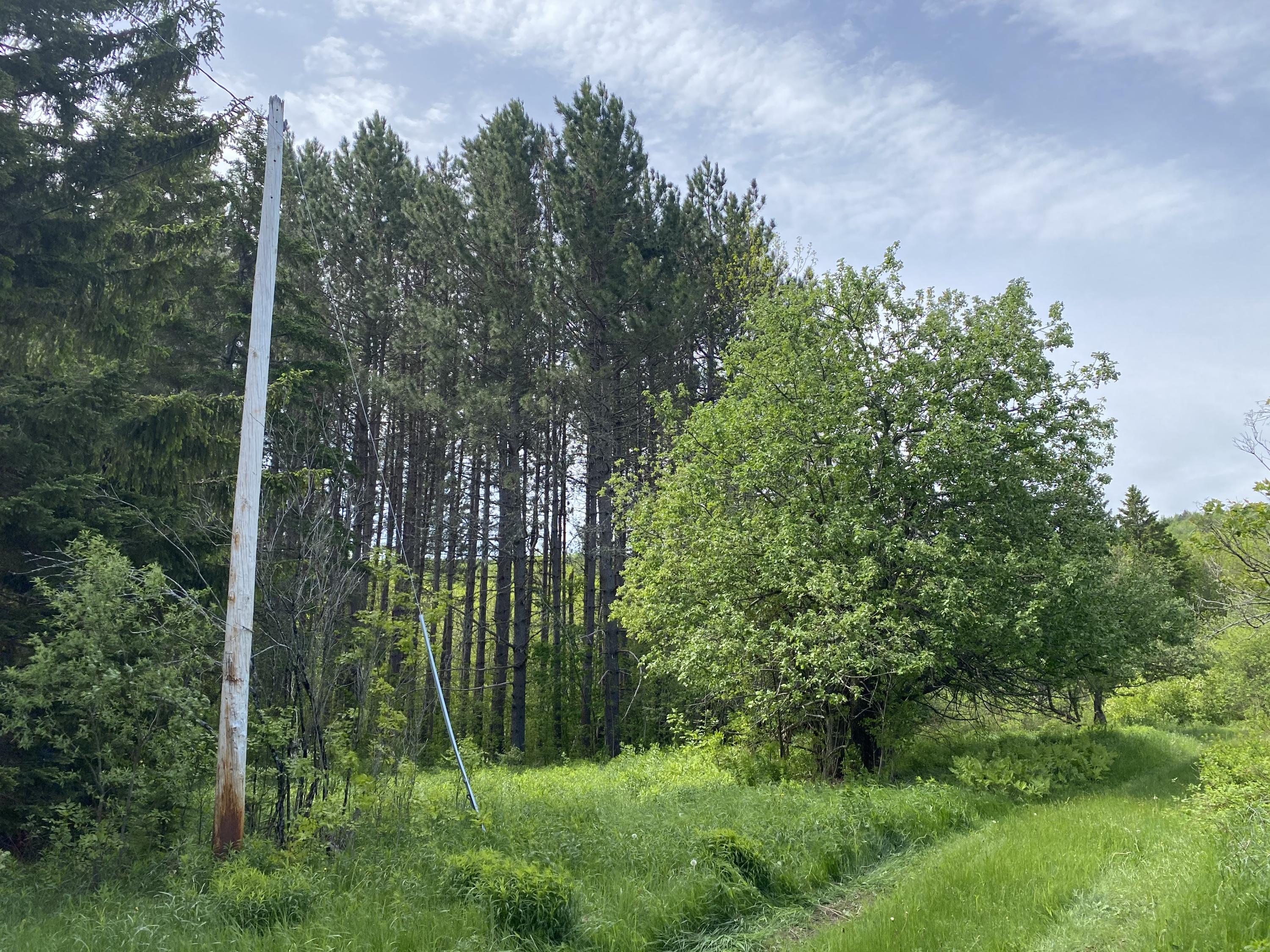 00 East B Hill Rd., Upton, ME, 03579