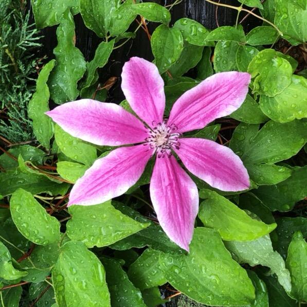 474 N Howland Road, Howland, ME, 04448