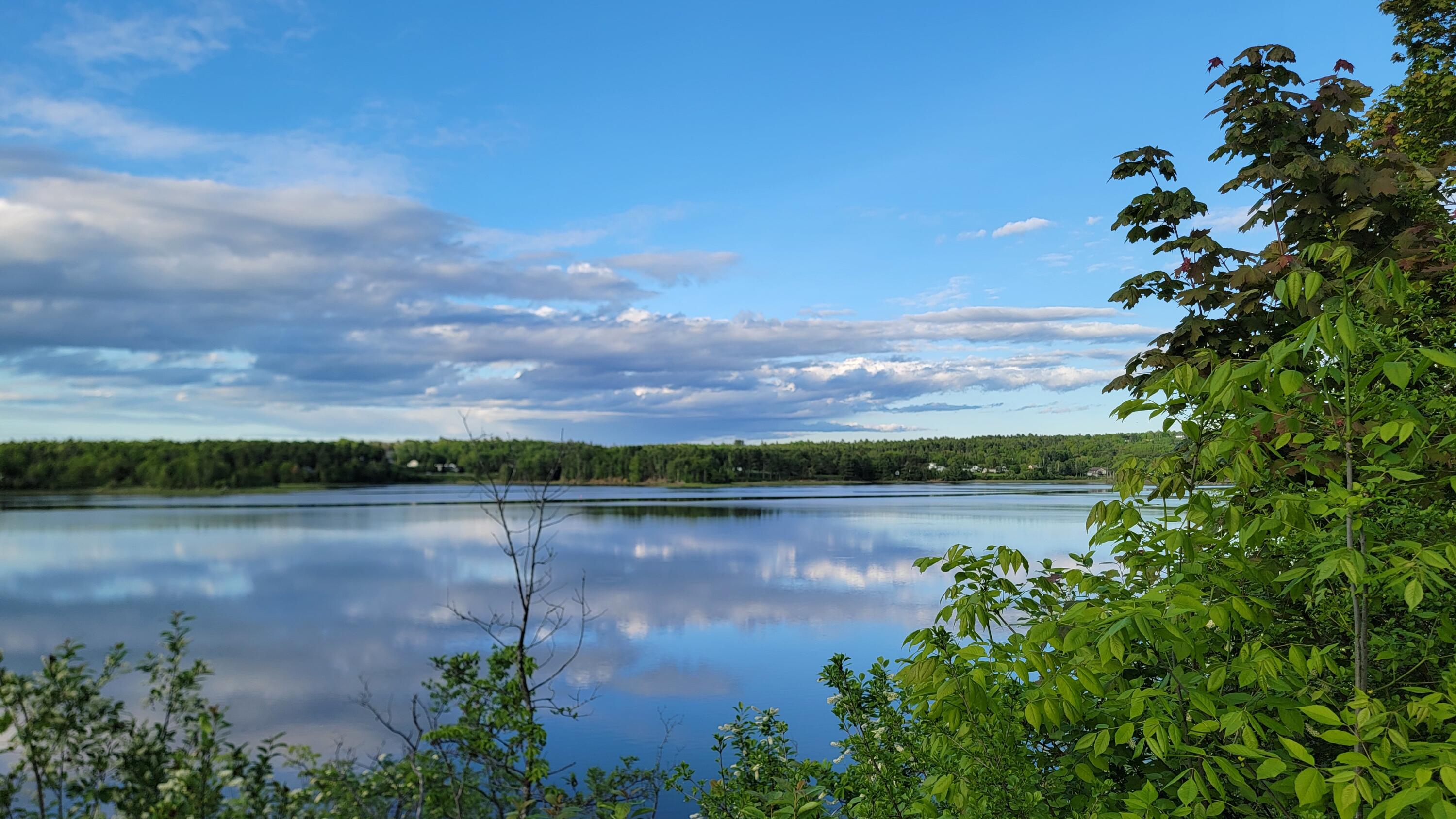 Search Homes for Sale