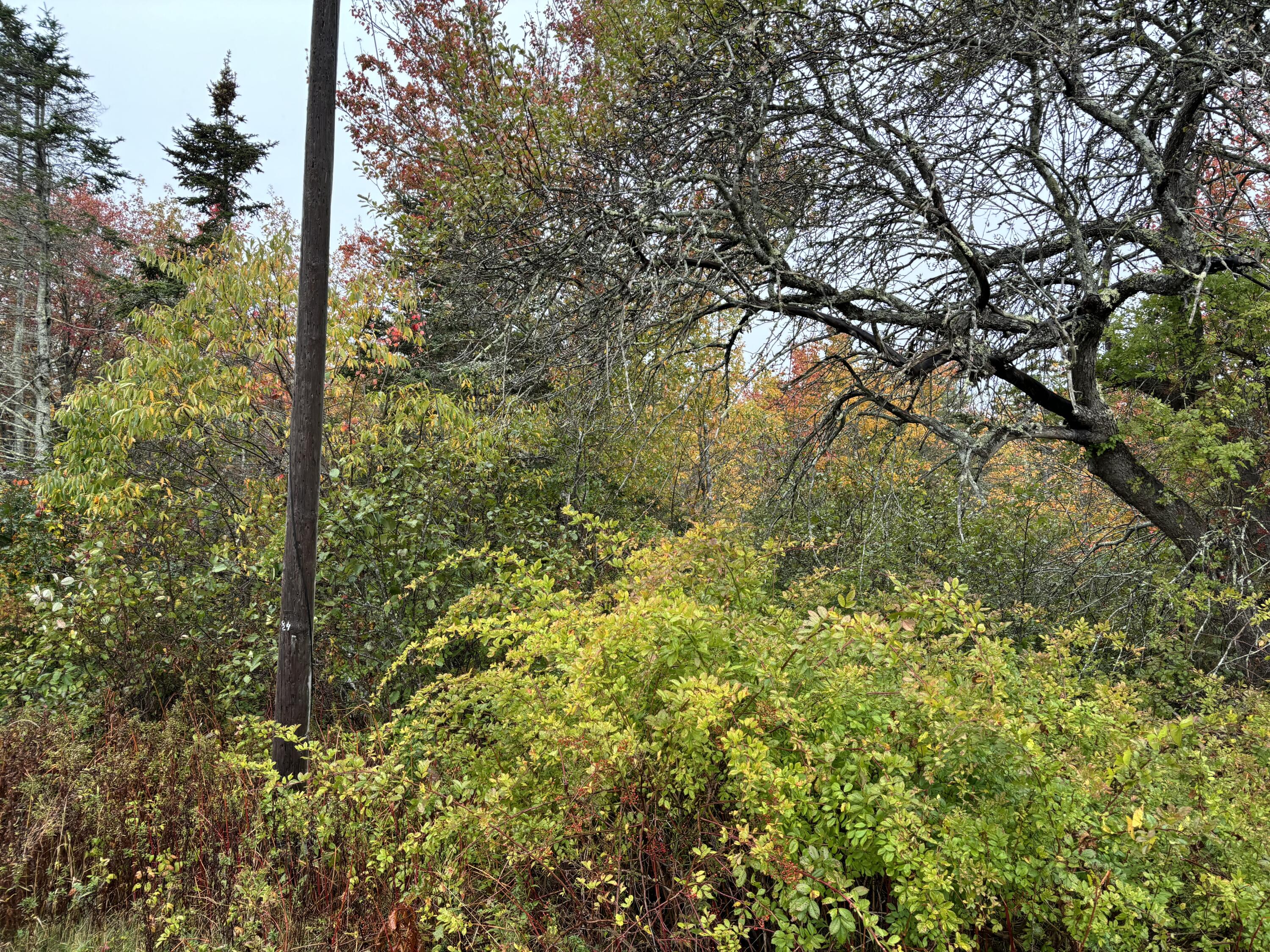 253 Hathorne Point Road, Cushing, ME, 04563