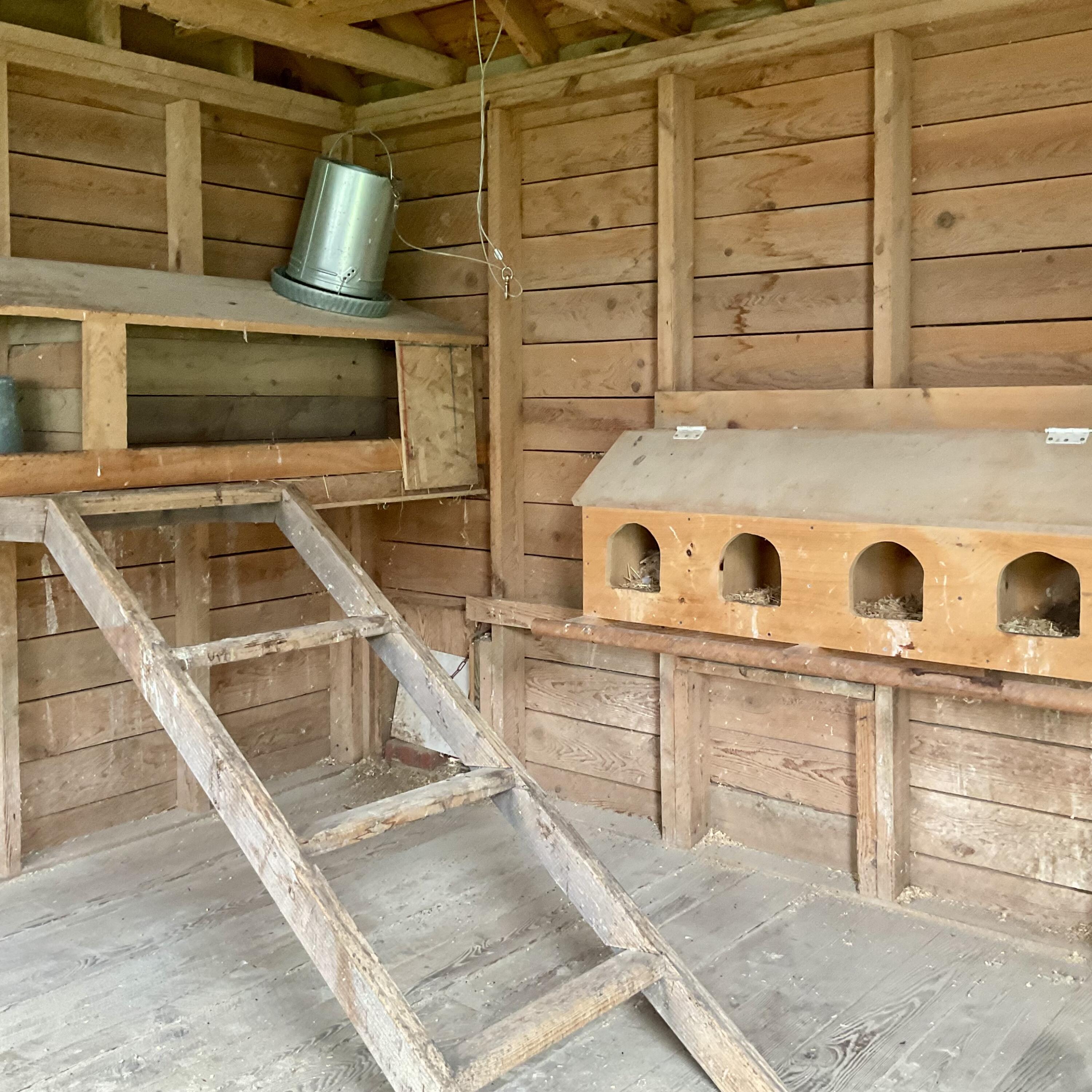 CHICKEN ROOST