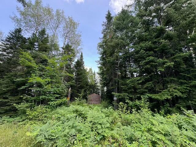 Lot UNIT&nbsp;3 Pleine Road, Saint Agatha, ME, 04772