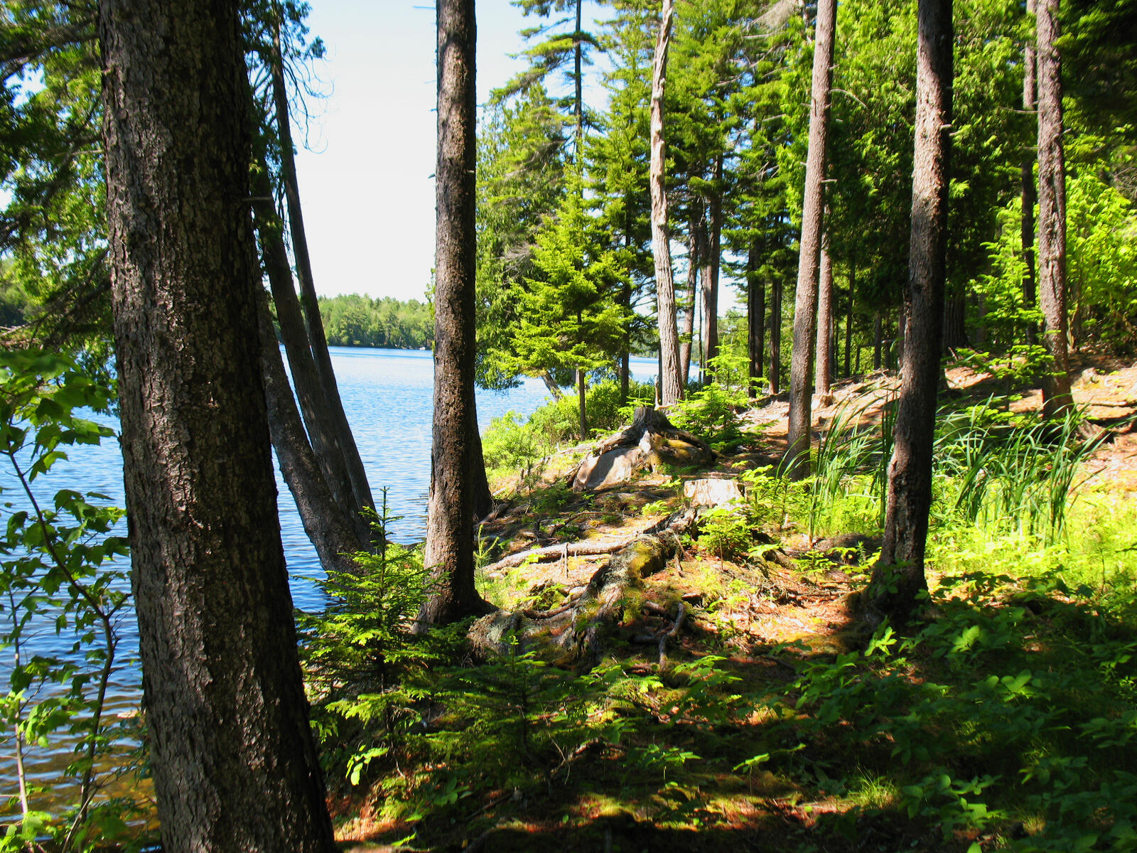 10-6 Vista Way, Mount Desert, ME, 04660