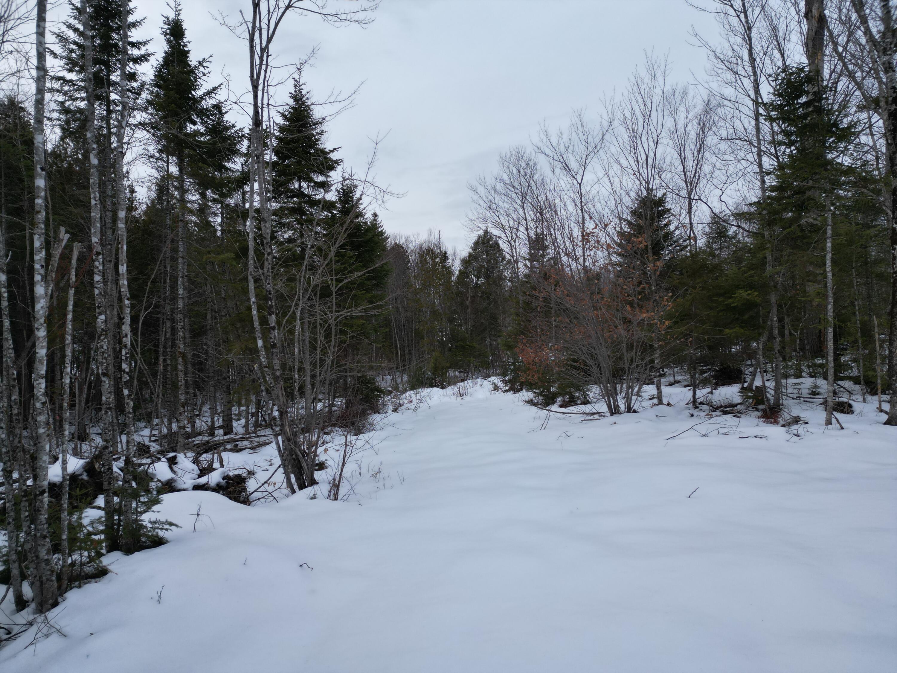 Lot 1 Moores Road, Springfield, ME, 04487