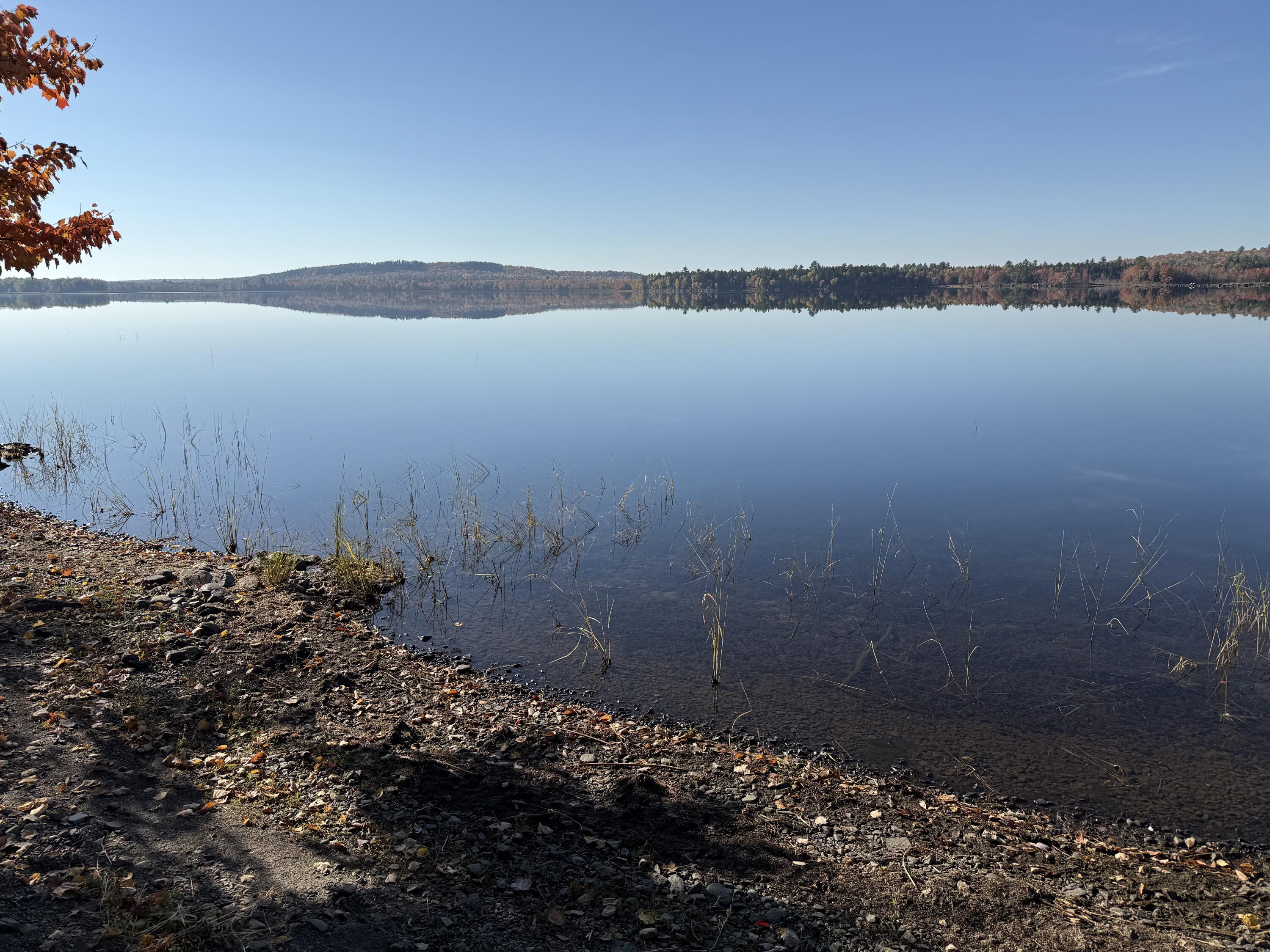 55 Mcnelly Road, Island Falls, ME, 04747