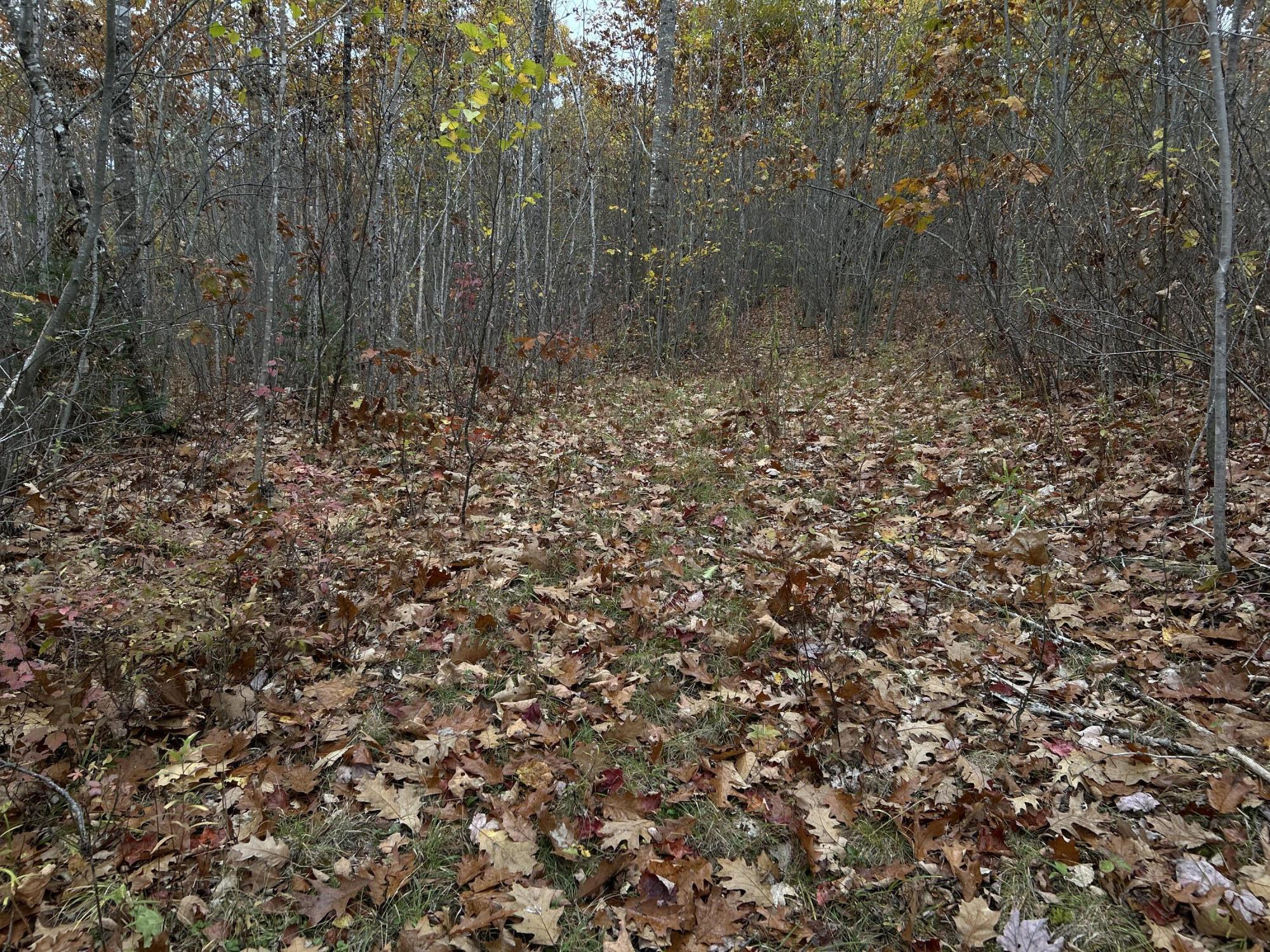 M4L18 Bog Road, Jackson, ME, 04921