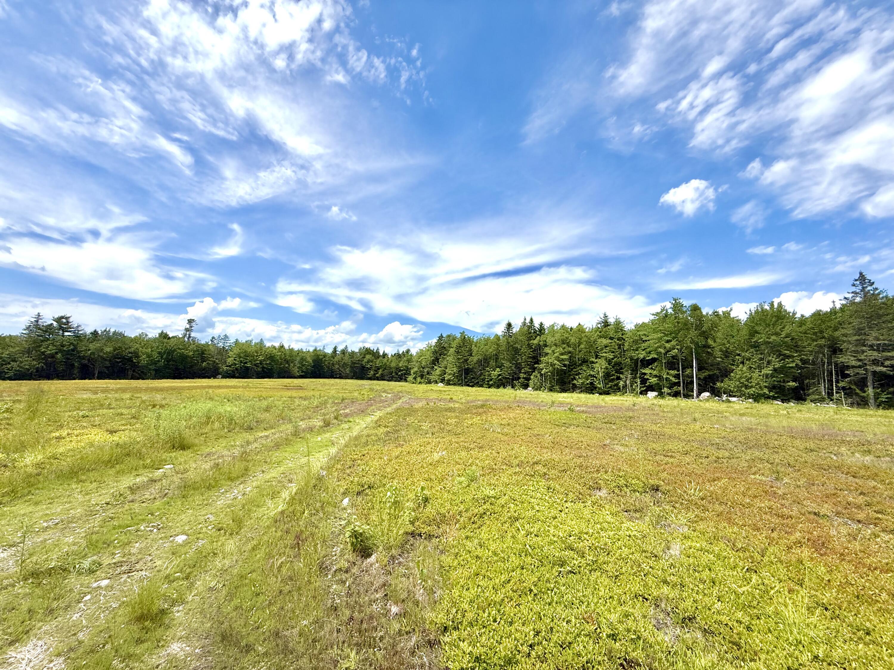 MAP13LOT9 Martins Ridge Road, Franklin, ME, 04634