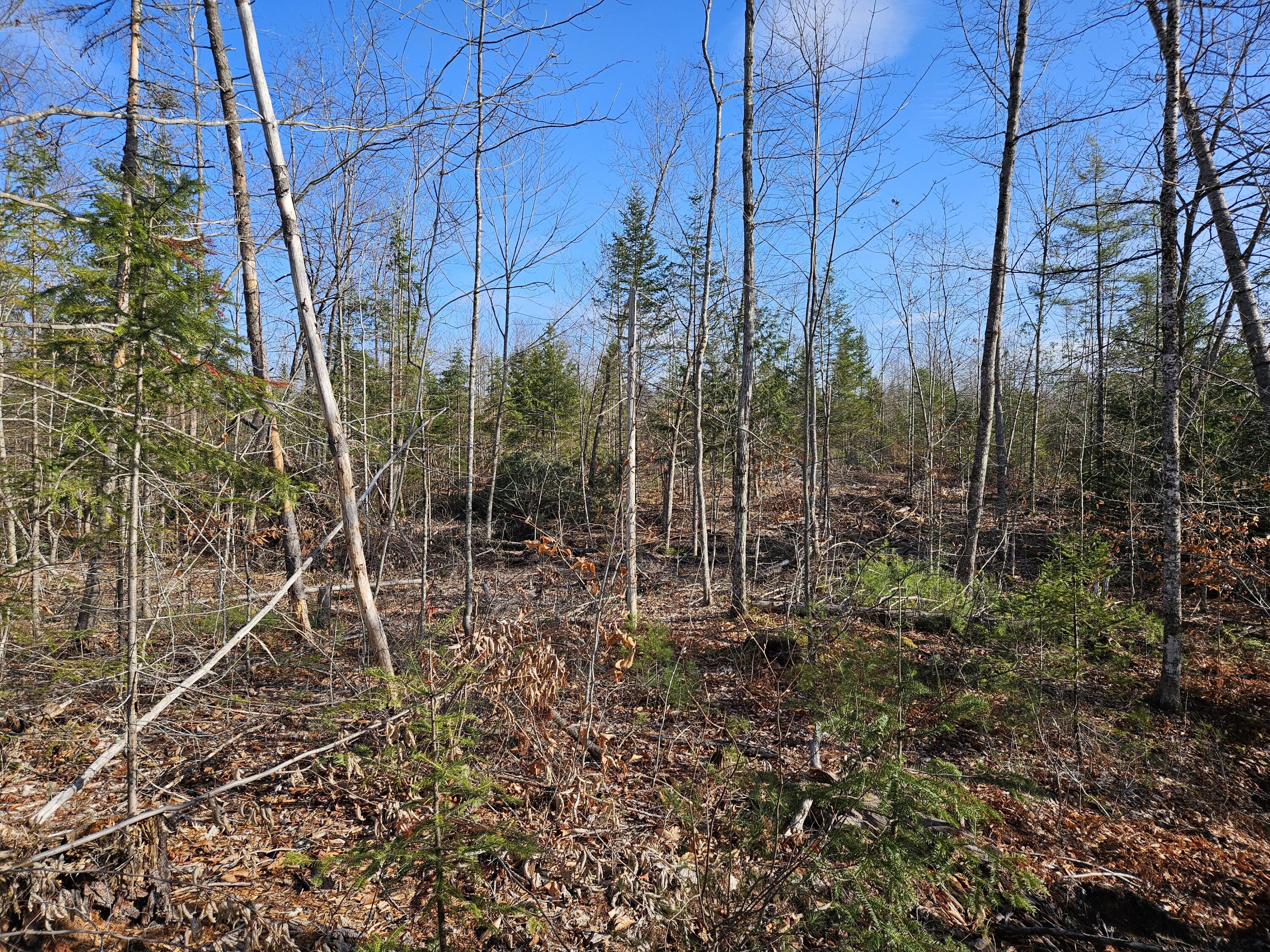 M-3 L-33-5 Cape Cod Hill Road, New Sharon, ME, 04955