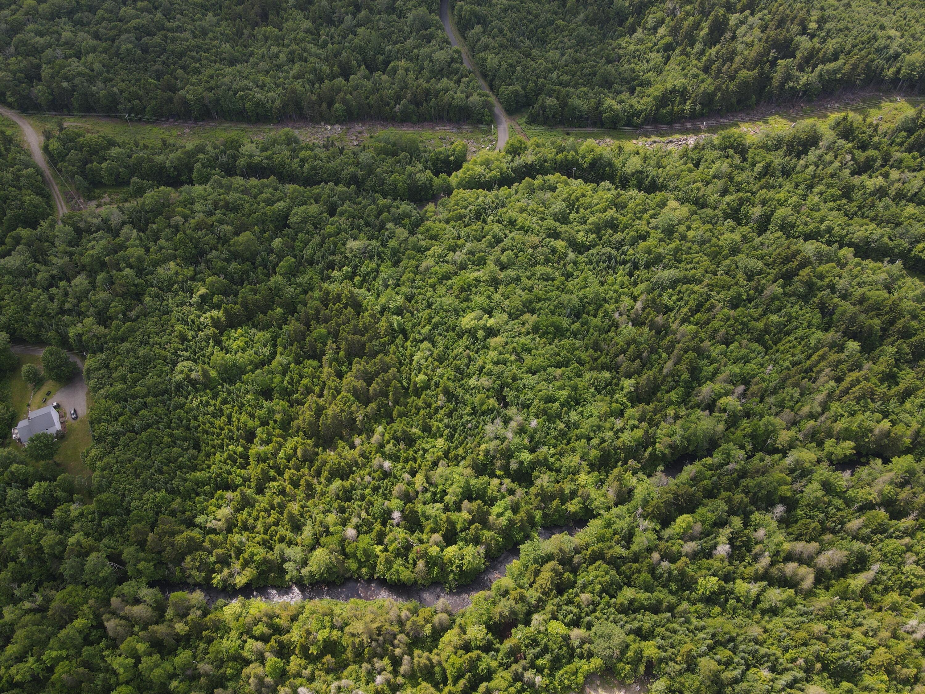 Tax Map 20 Beaver Mountain Road, Sandy River Plt, ME, 04970