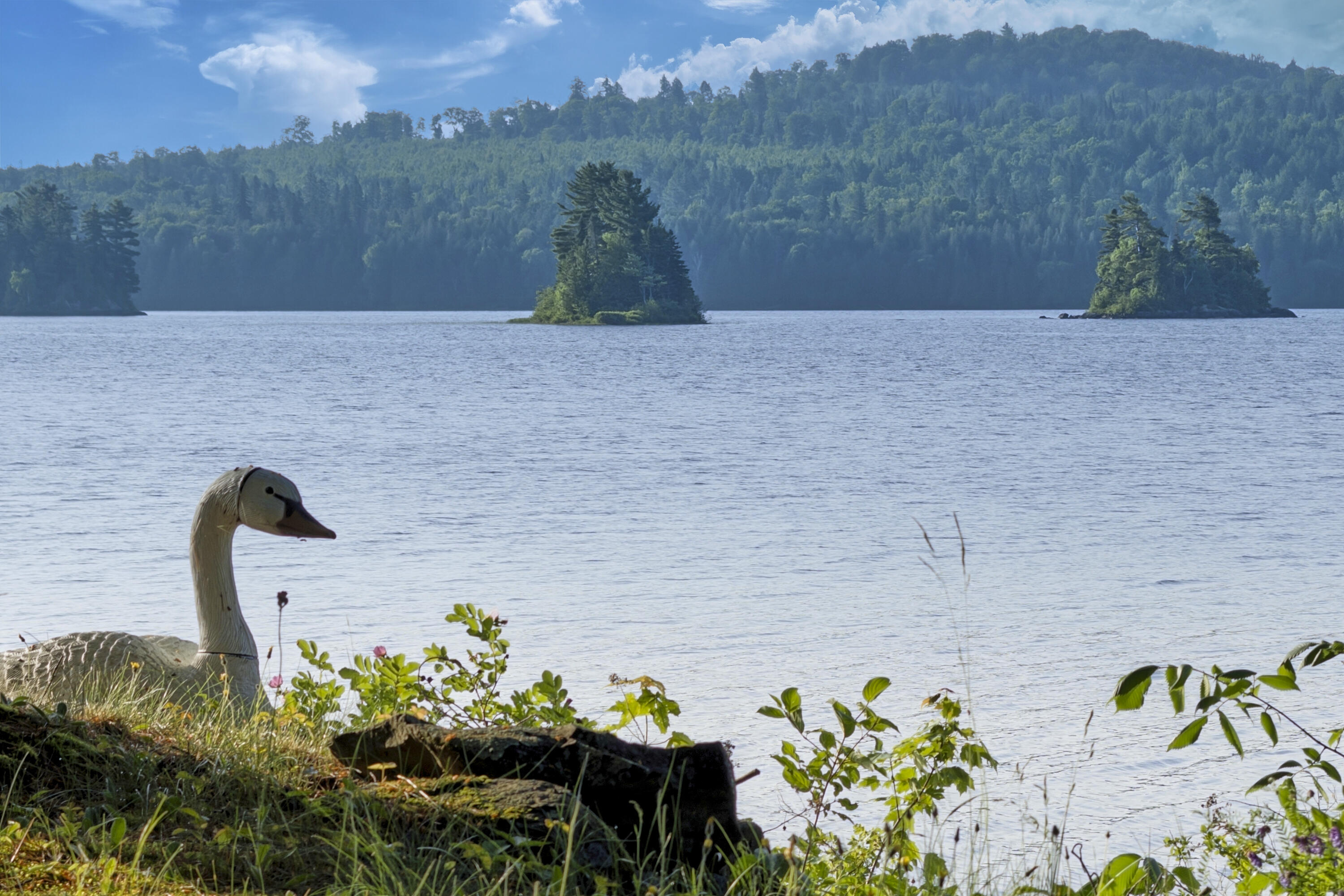 1 Zella Island, T14 R8 Wels, ME, 04768