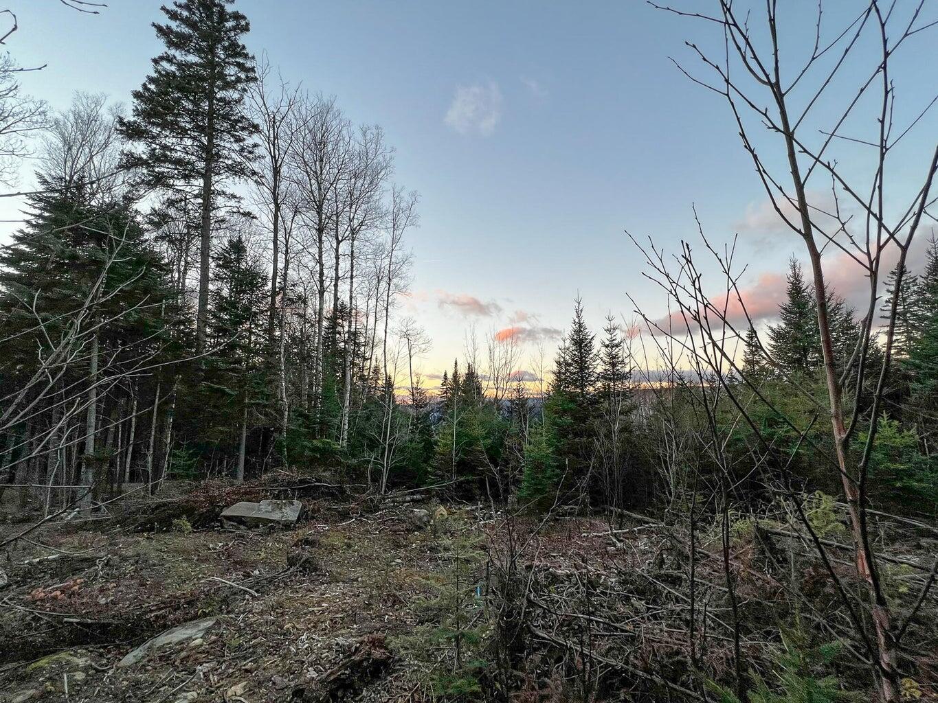 Lot 16 Mill Brook Road, Sandy River Plt, ME, 04970
