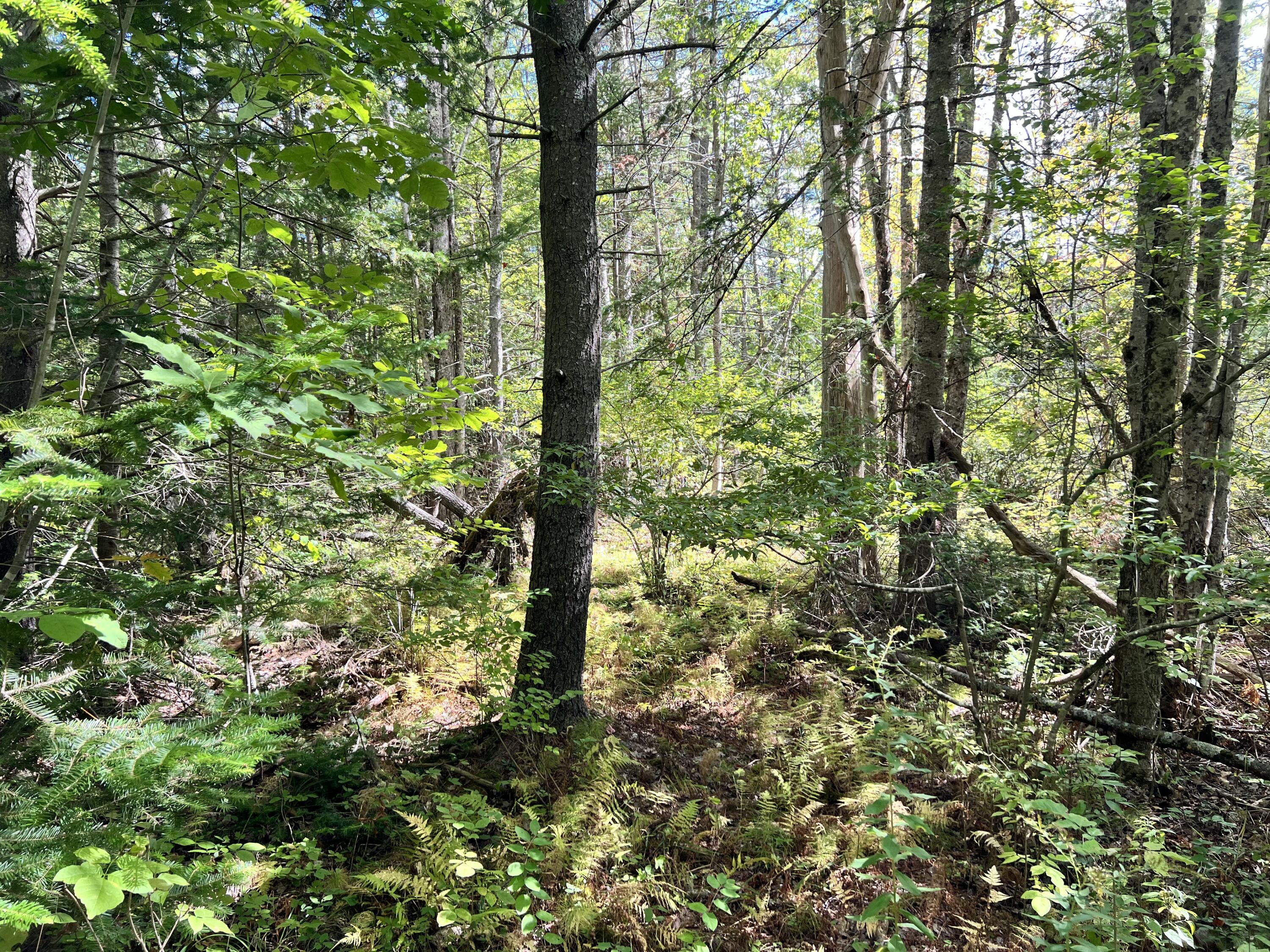 Sagadahoc County