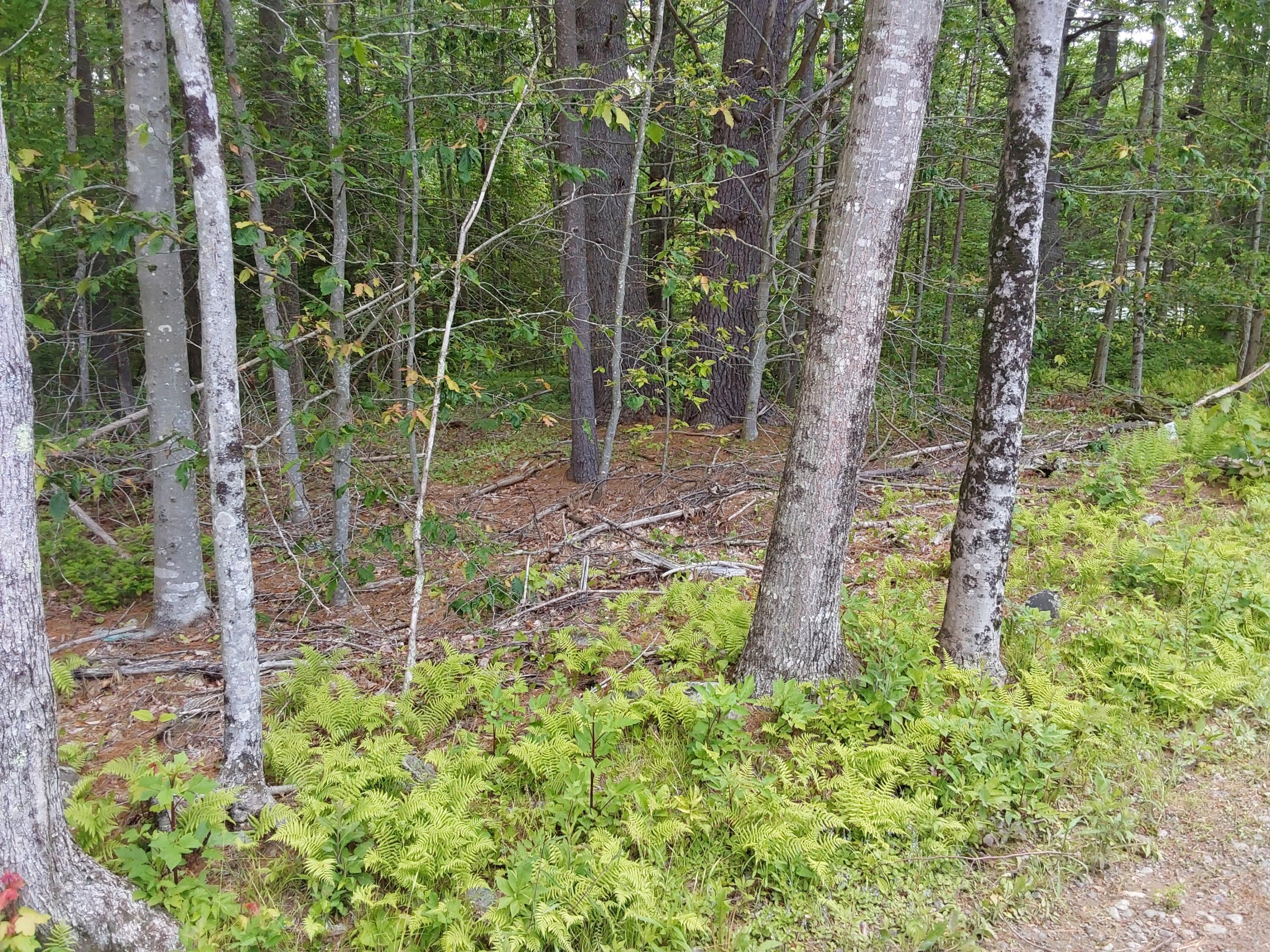 M19-L16-1 Augsuta Road, Jefferson, ME, 04348