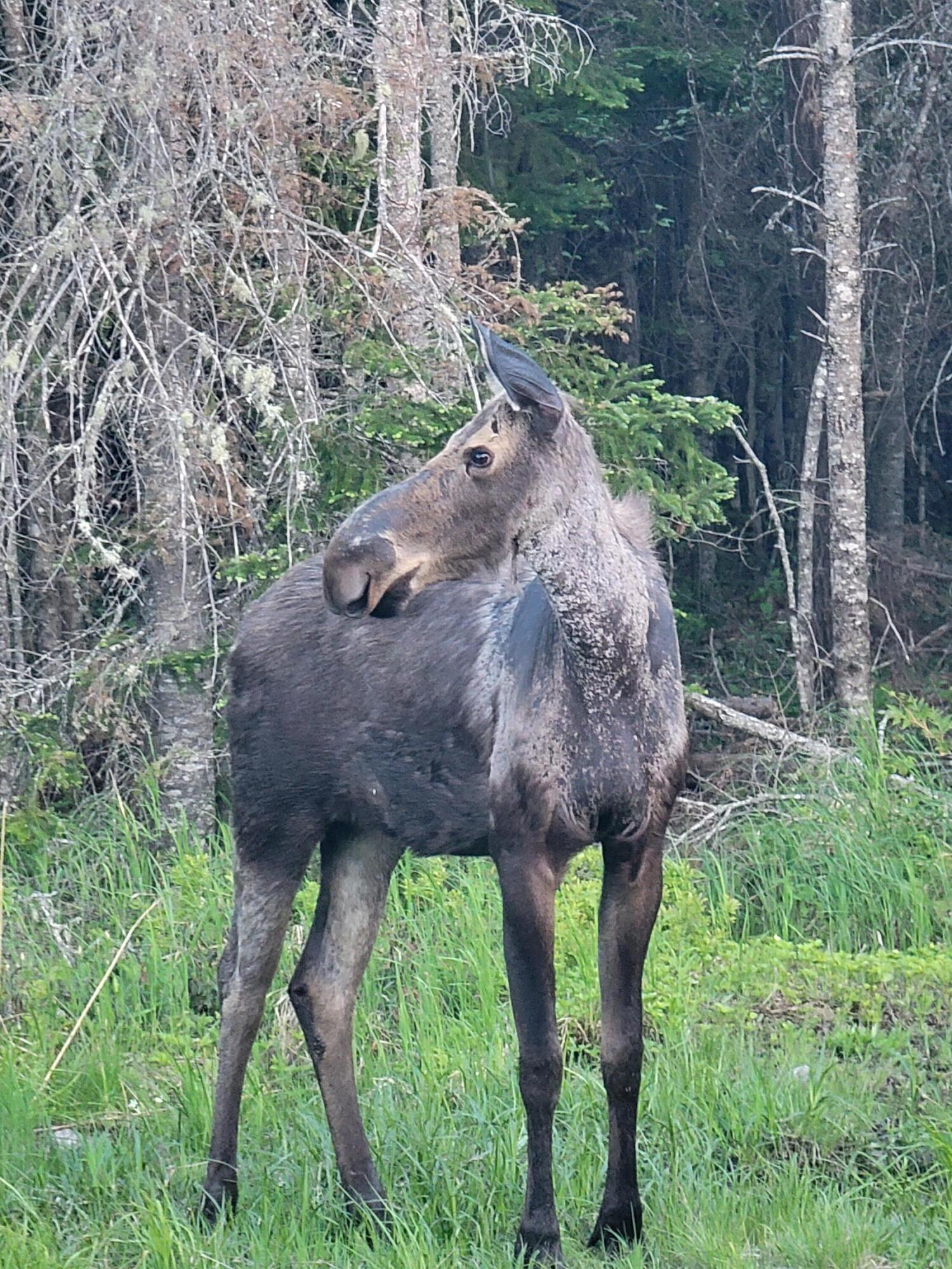 Lot I Pleasant Island Lane, Adamstown Twp, ME, 04970